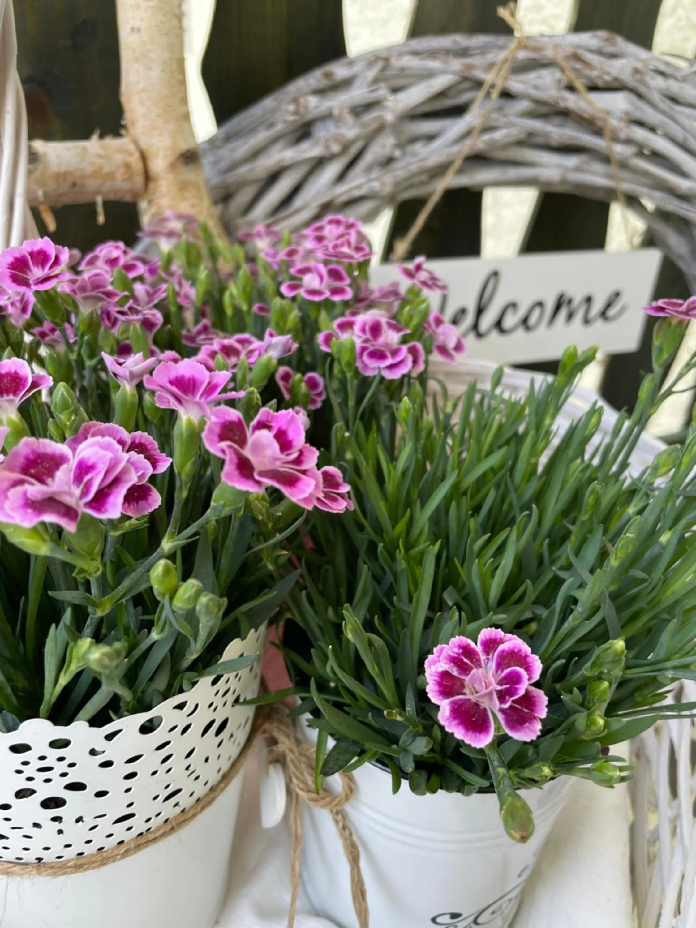 Day in Flair-Hotel Waldfrieden