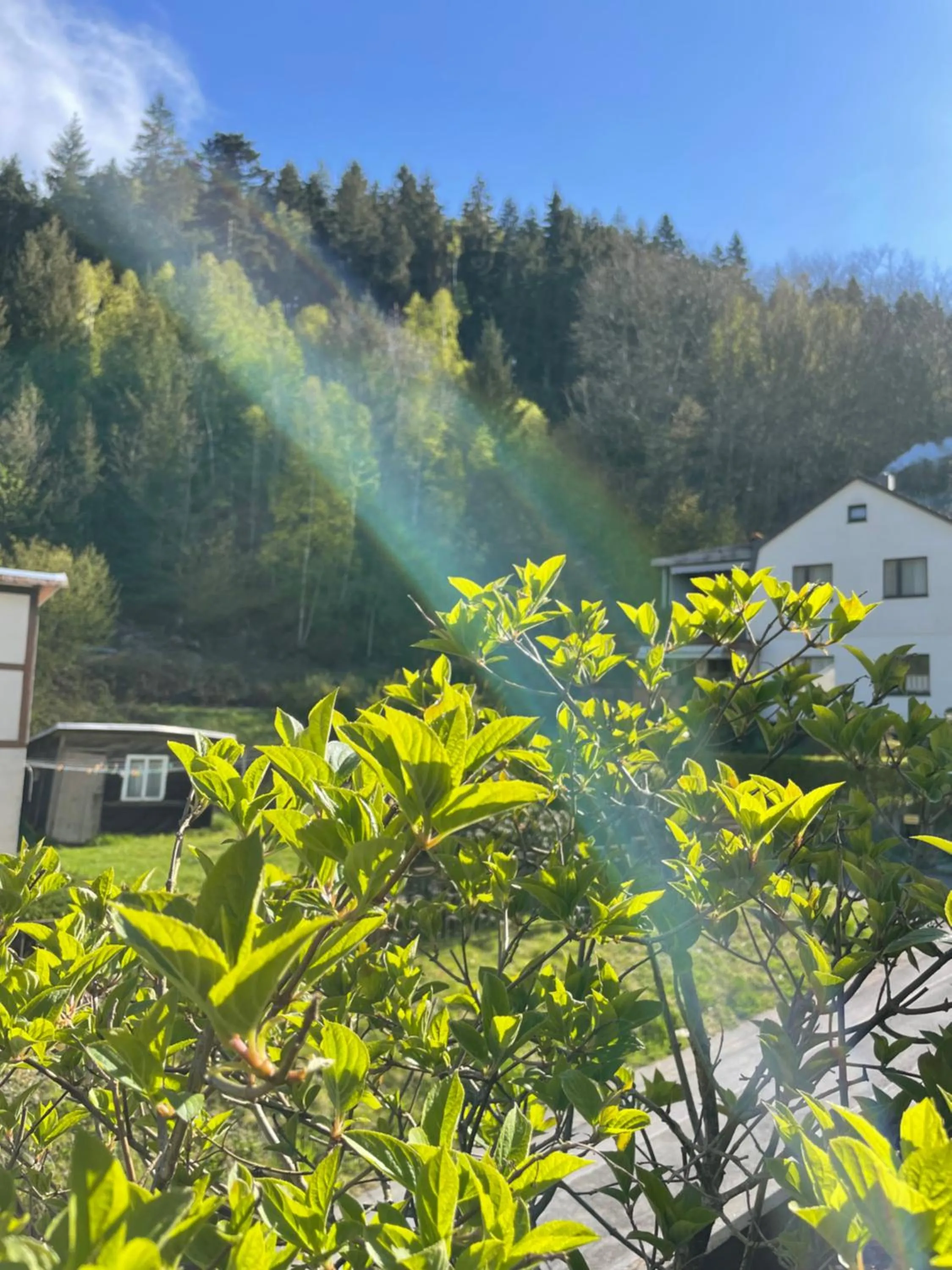 Day in Flair-Hotel Waldfrieden