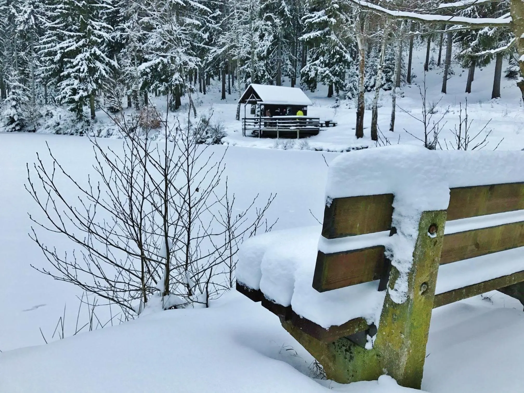 Nearby landmark in Flair-Hotel Waldfrieden