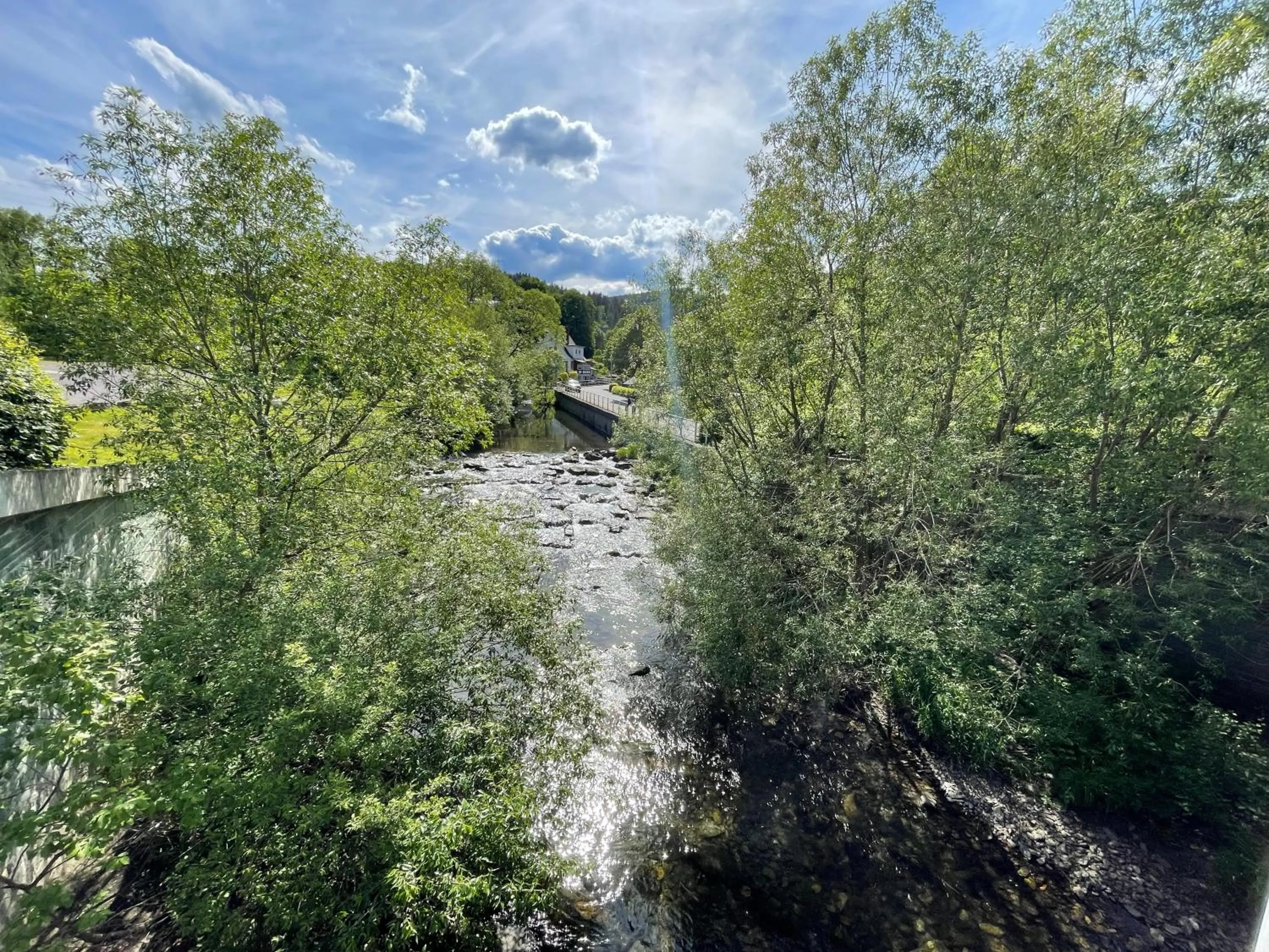 Day in Flair-Hotel Waldfrieden