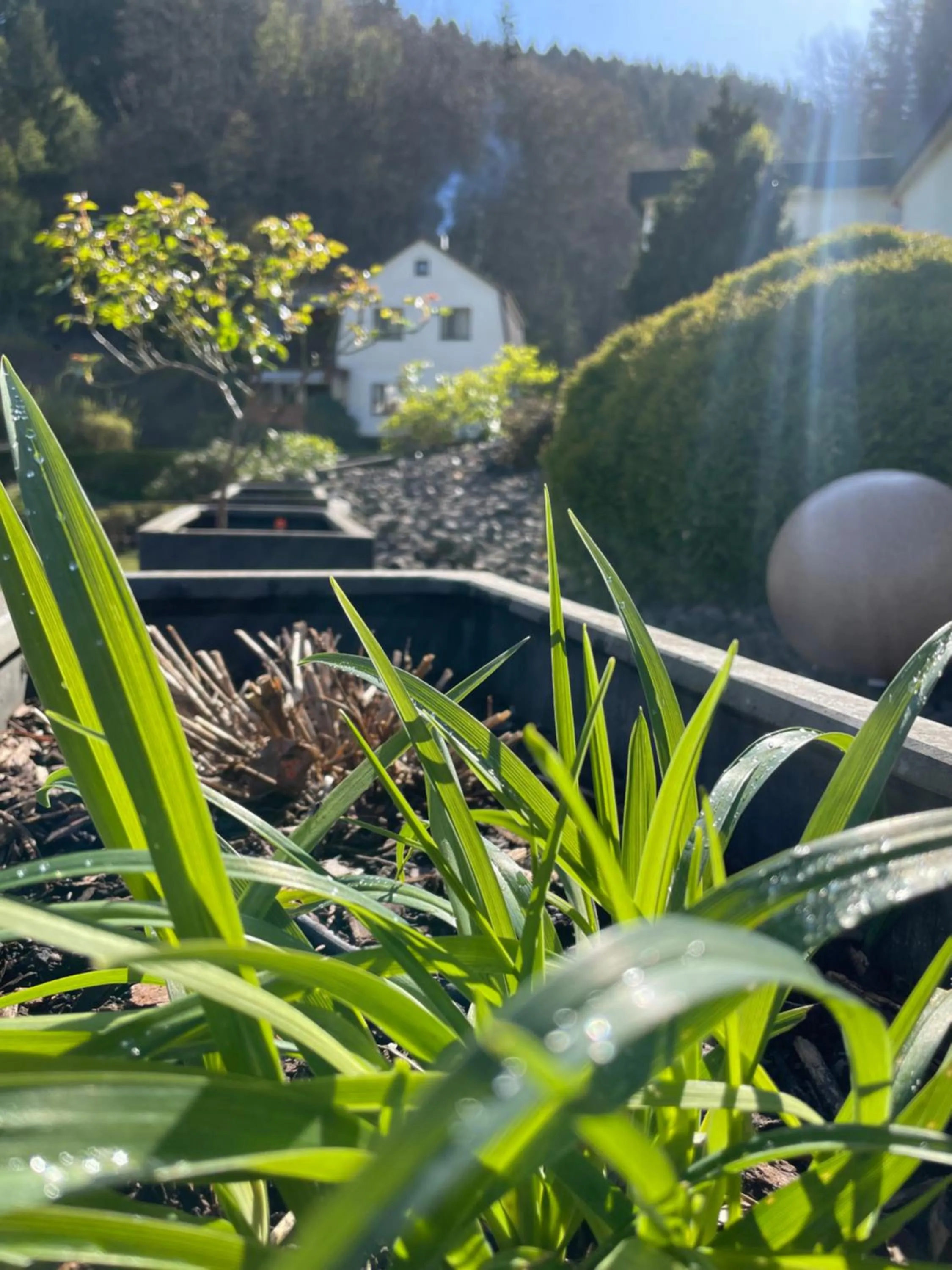 Day in Flair-Hotel Waldfrieden