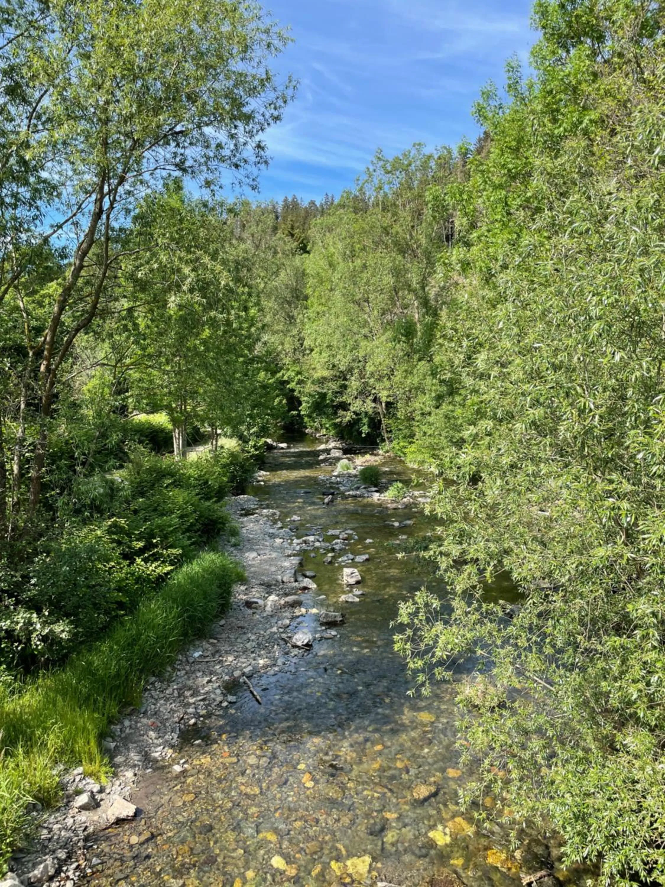 River view in Flair-Hotel Waldfrieden