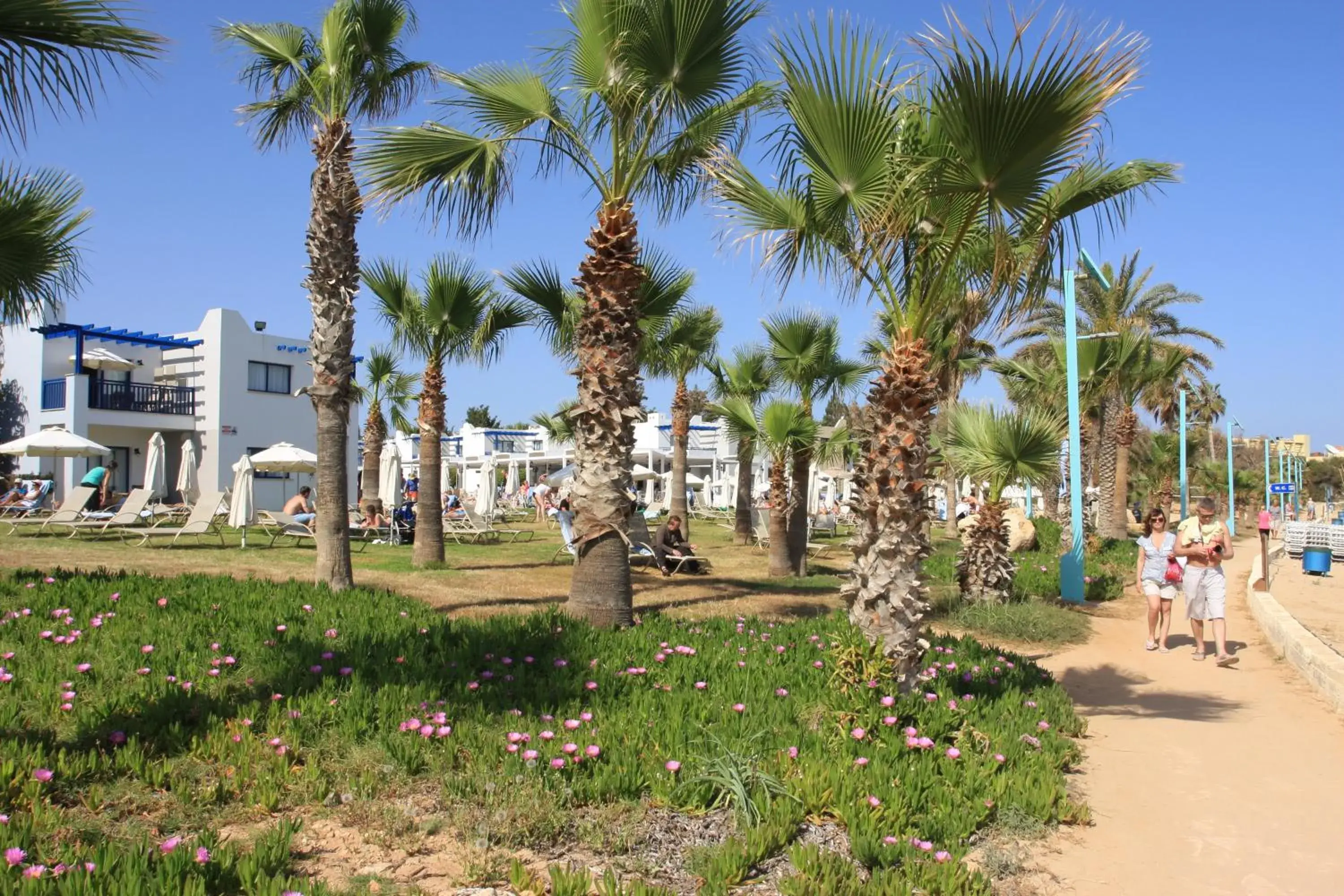 Area and facilities, Garden in MarisMare Apartments