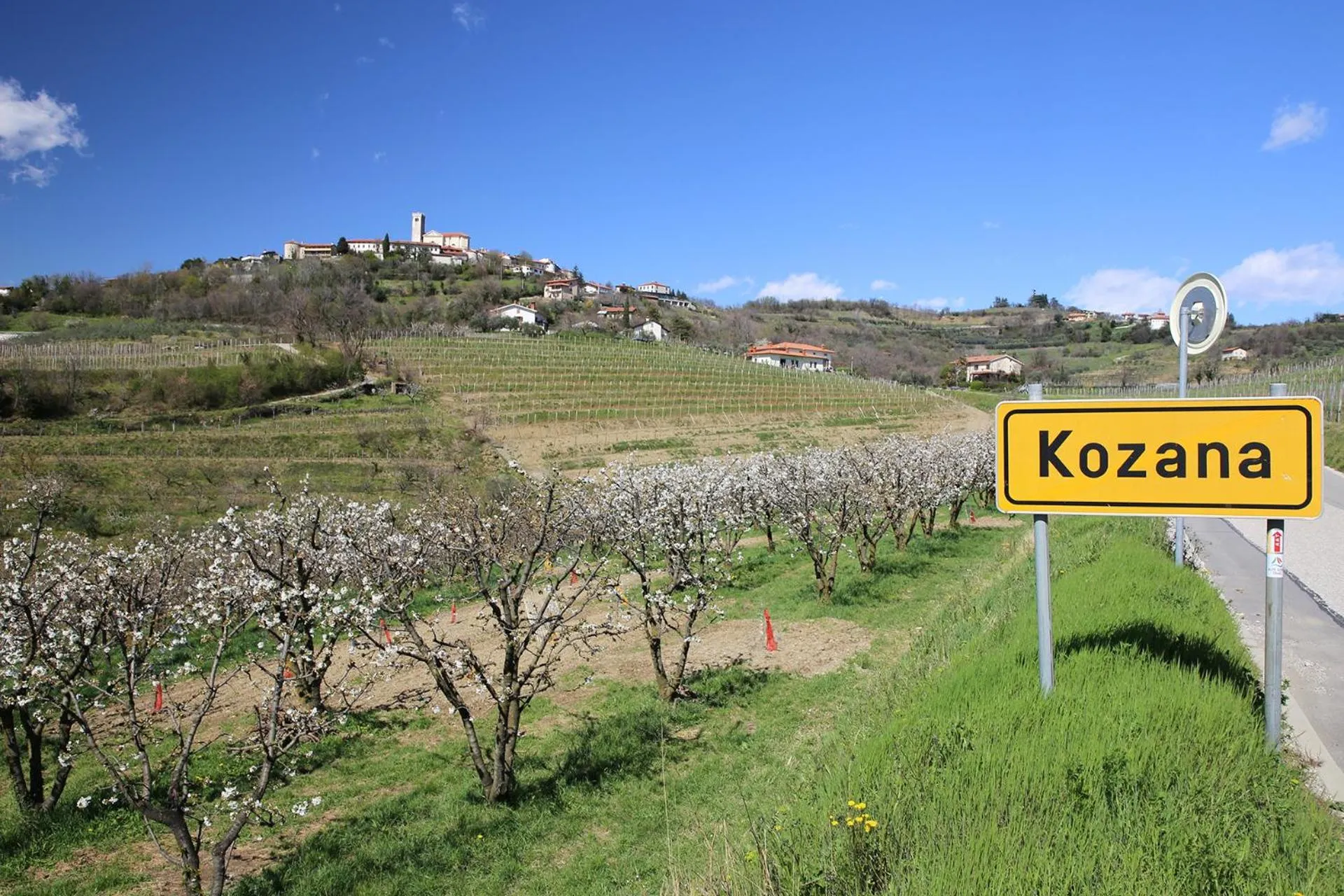Spring in Hotel Kozana