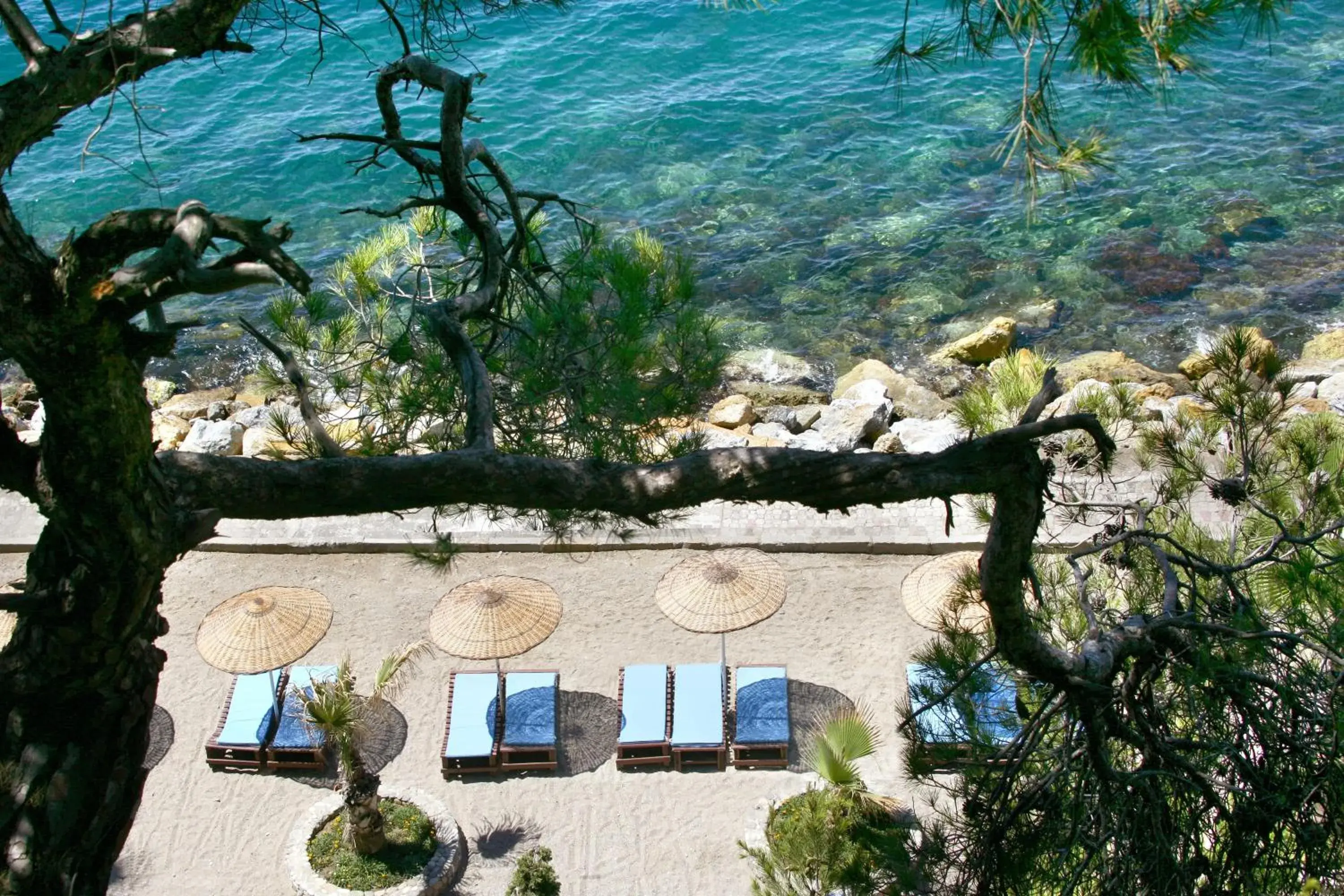 Balcony/Terrace in Pine Bay Holiday Resort Balcony/Terrace in Pine Bay Holiday Resort