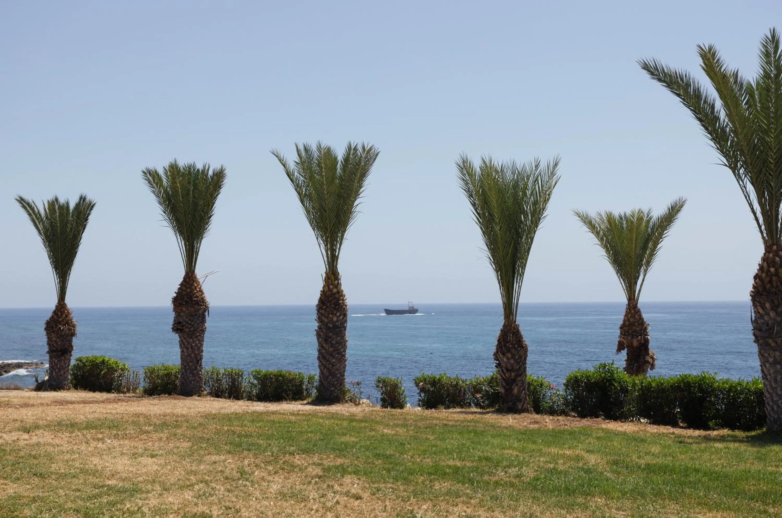 Garden in Atlantica Akteon