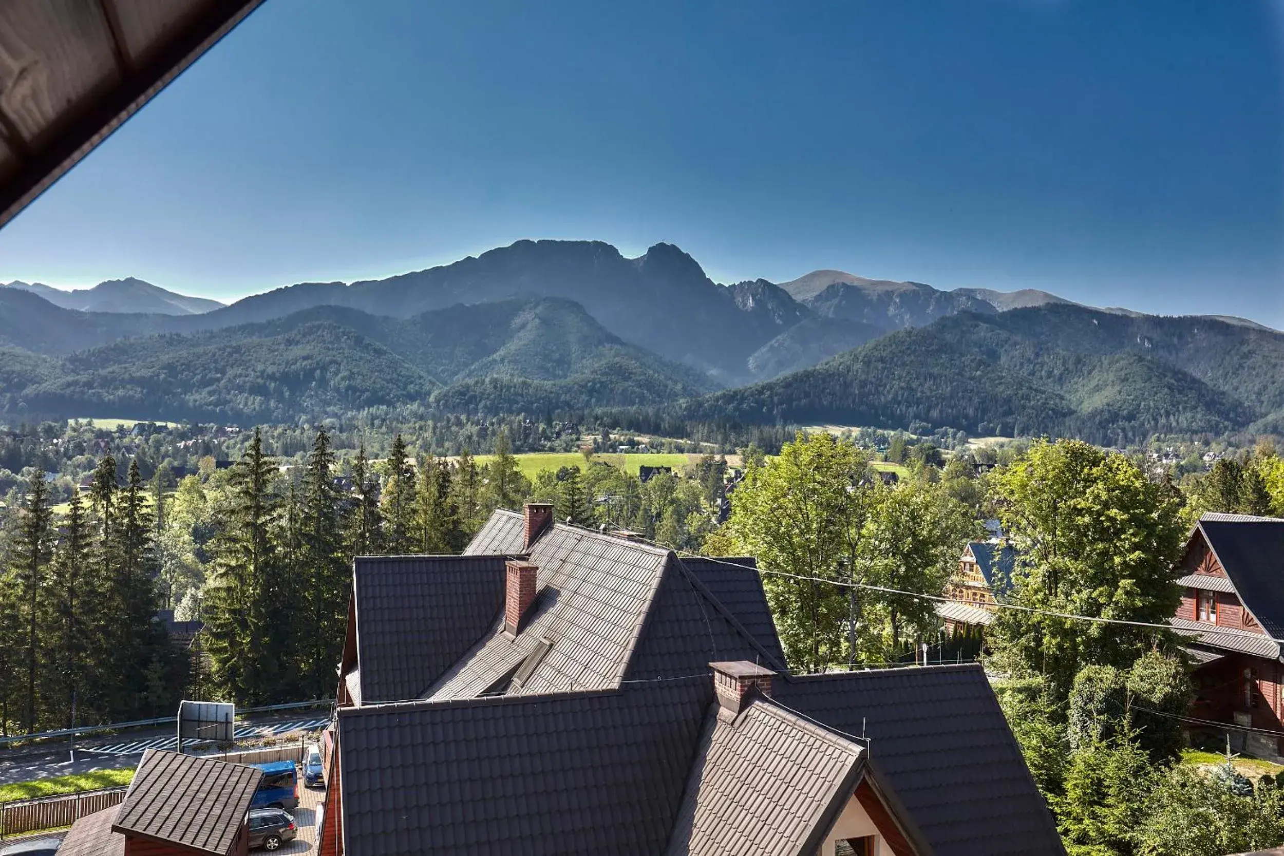 New Willa Jan New Willa Jan