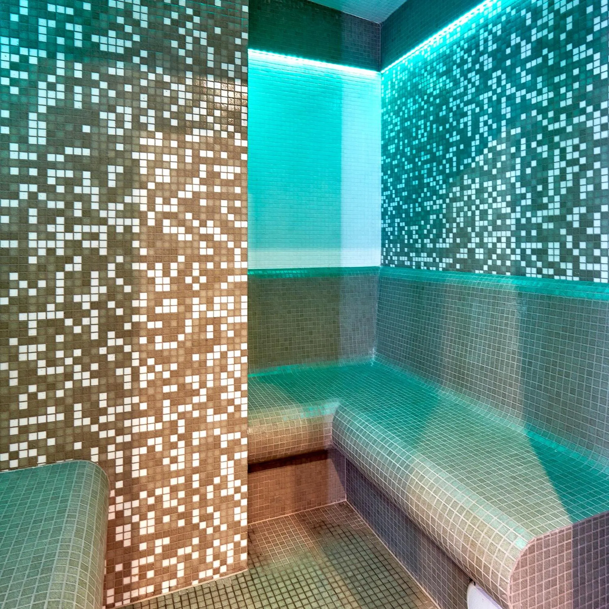 Steam room in Willa Jan