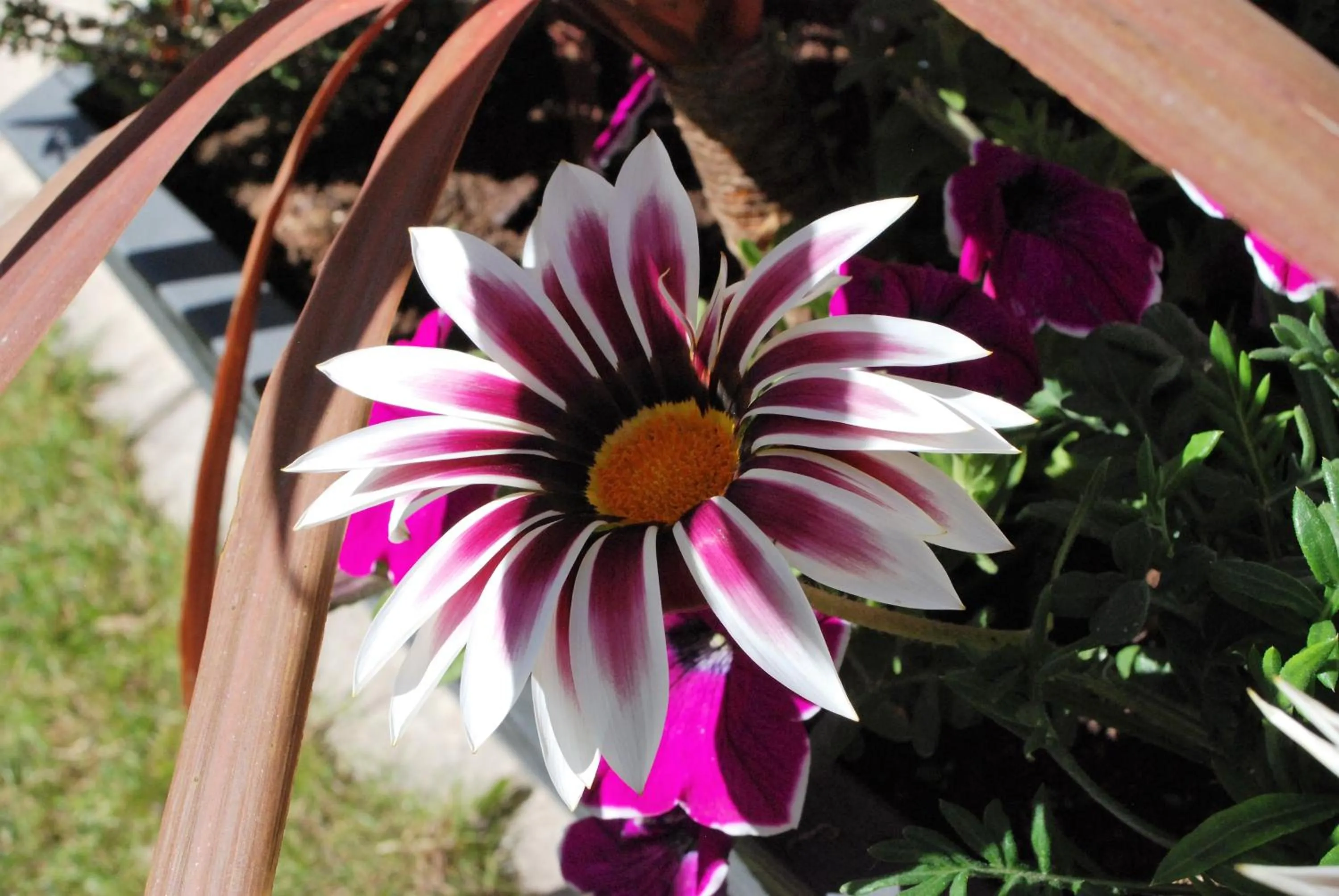 Balcony/Terrace in Hôtel Ariane & SPA