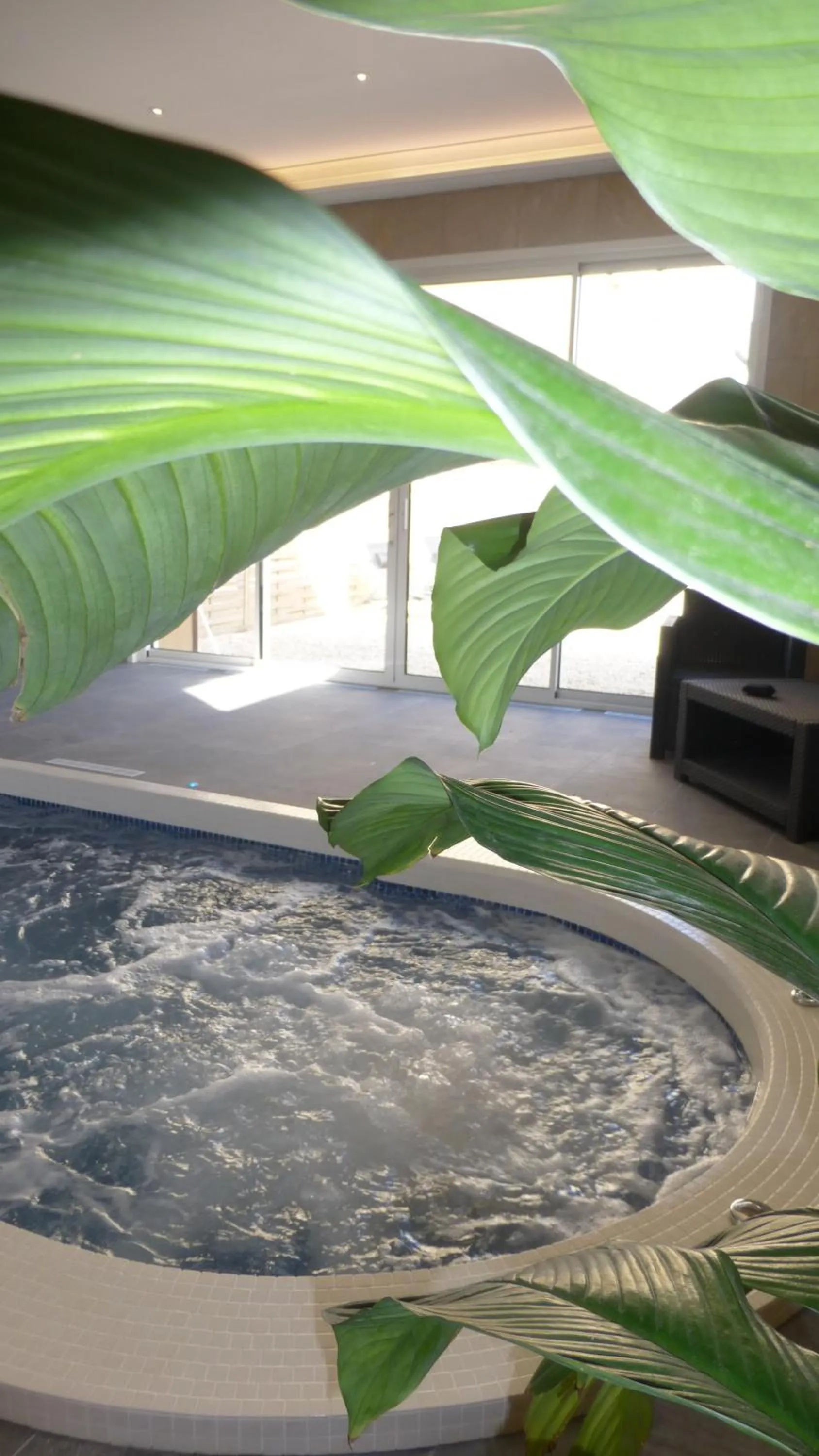 Spa and wellness centre/facilities in Hôtel Ariane & SPA