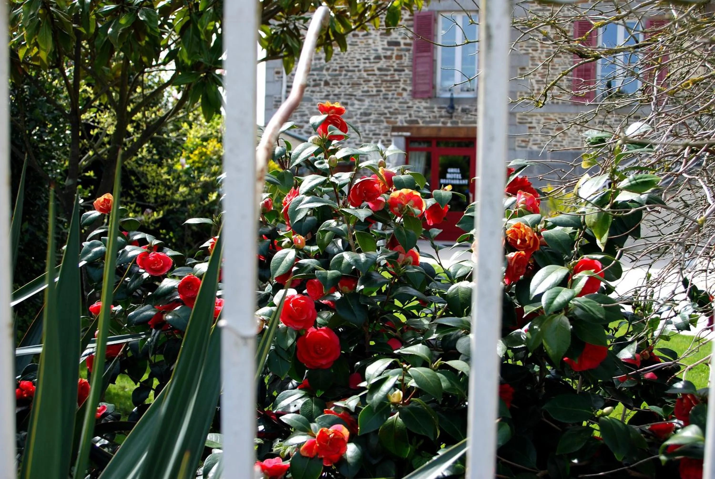 Area and facilities in Hôtel Ariane & SPA
