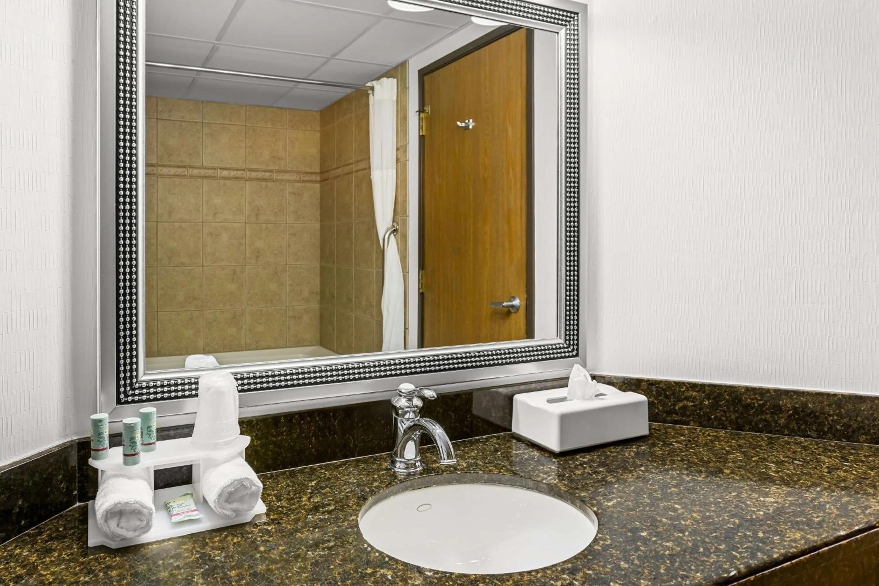 Bathroom in Best Western Gaylord