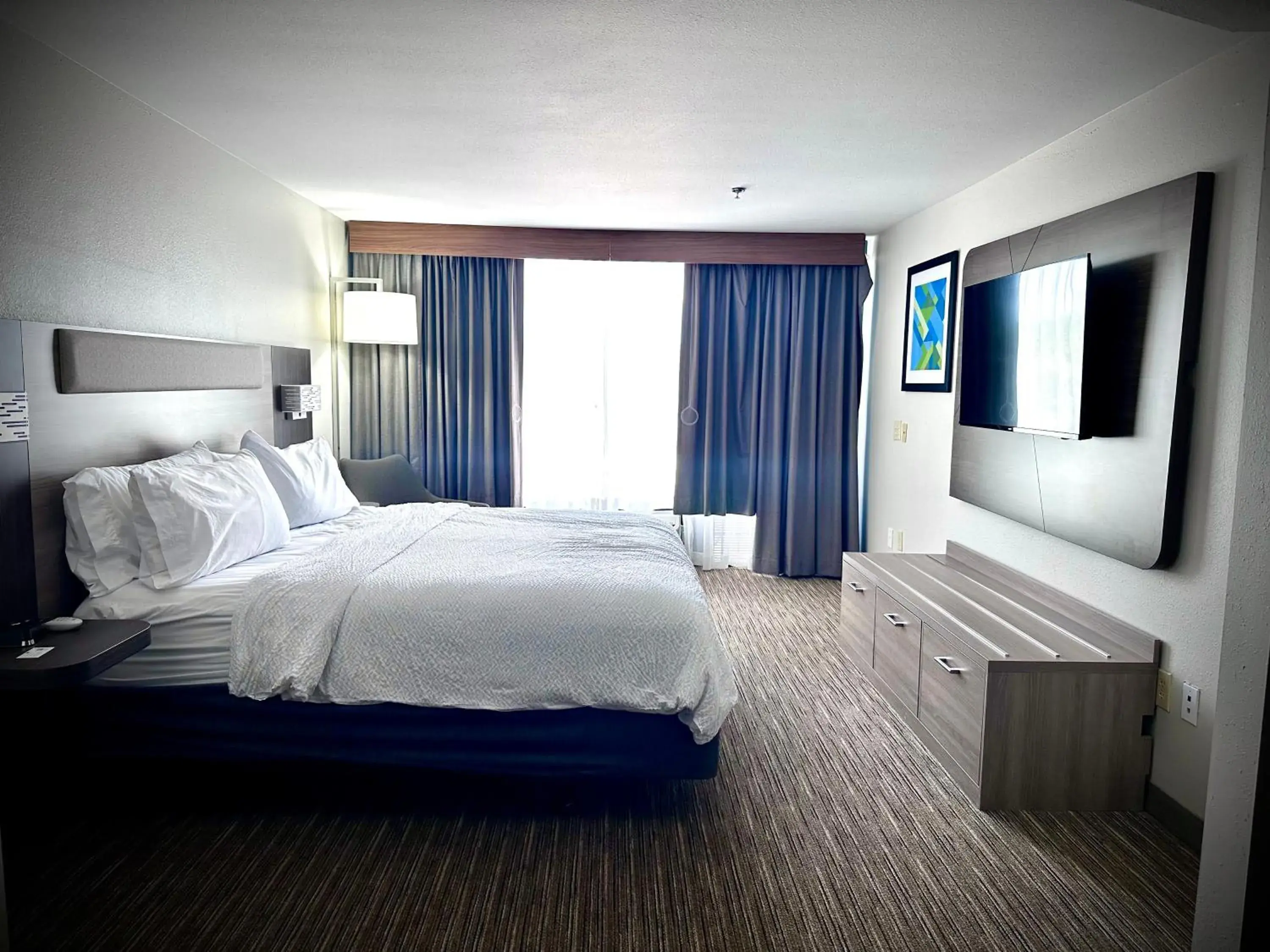 TV and multimedia, Bed in Holiday Inn Express Hotel & Suites Hinesville by IHG TV and multimedia, Bed in Holiday Inn Express Hotel & Suites Hinesville by IHG
