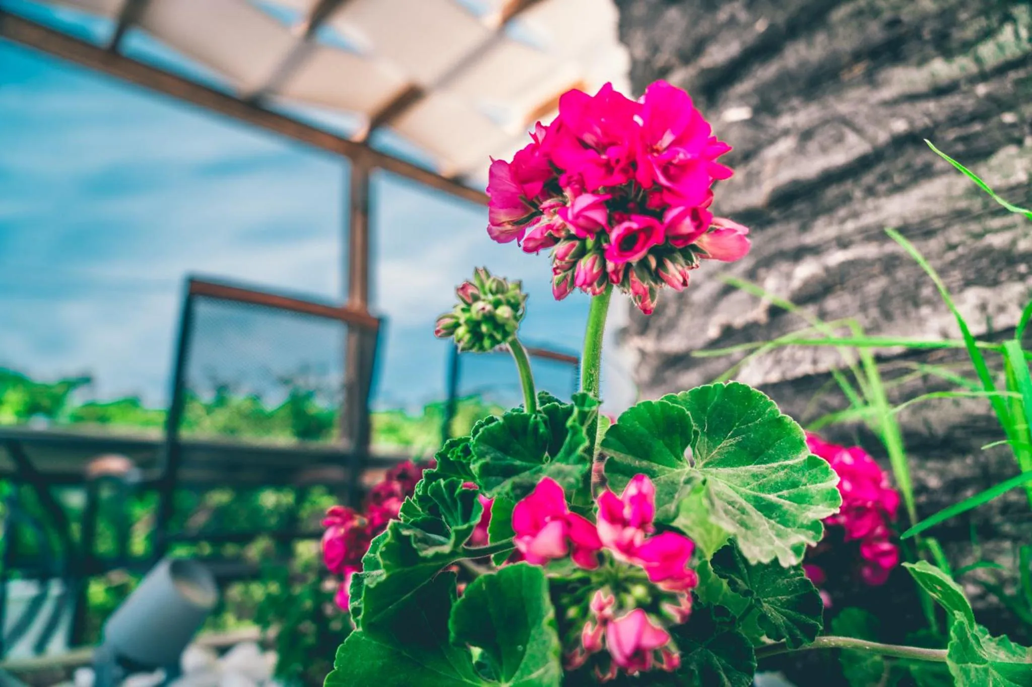 Facade/entrance in Morfeas Hotel