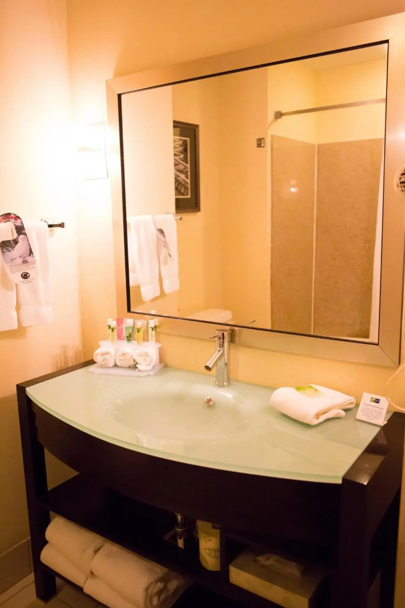 Bathroom in Holiday Inn Express & Suites Chattanooga-Hixson by IHG Bathroom in Holiday Inn Express & Suites Chattanooga-Hixson by IHG