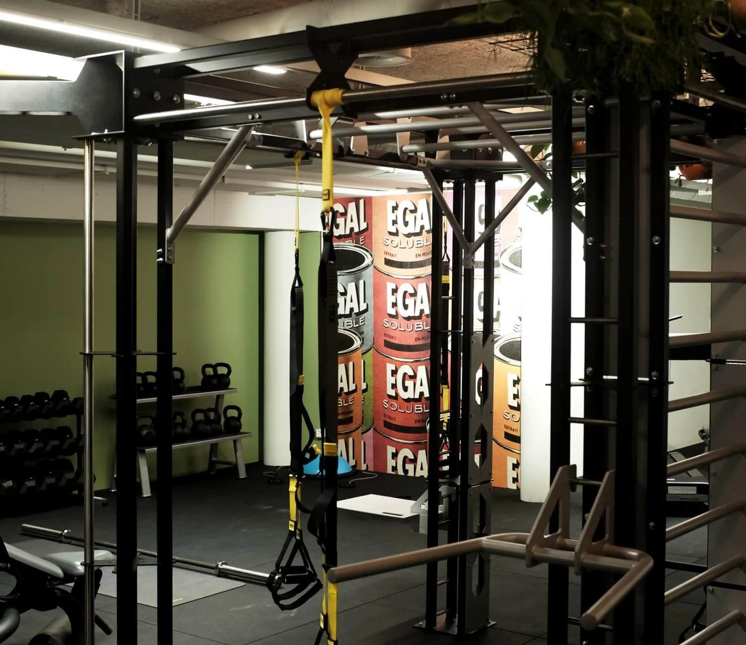 Activities in Riders Hotel