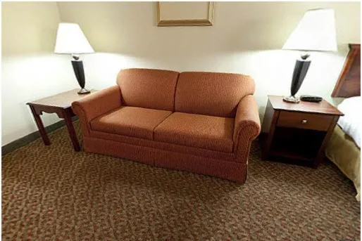 Seating area in Holiday Inn Express Breaux Bridge by IHG