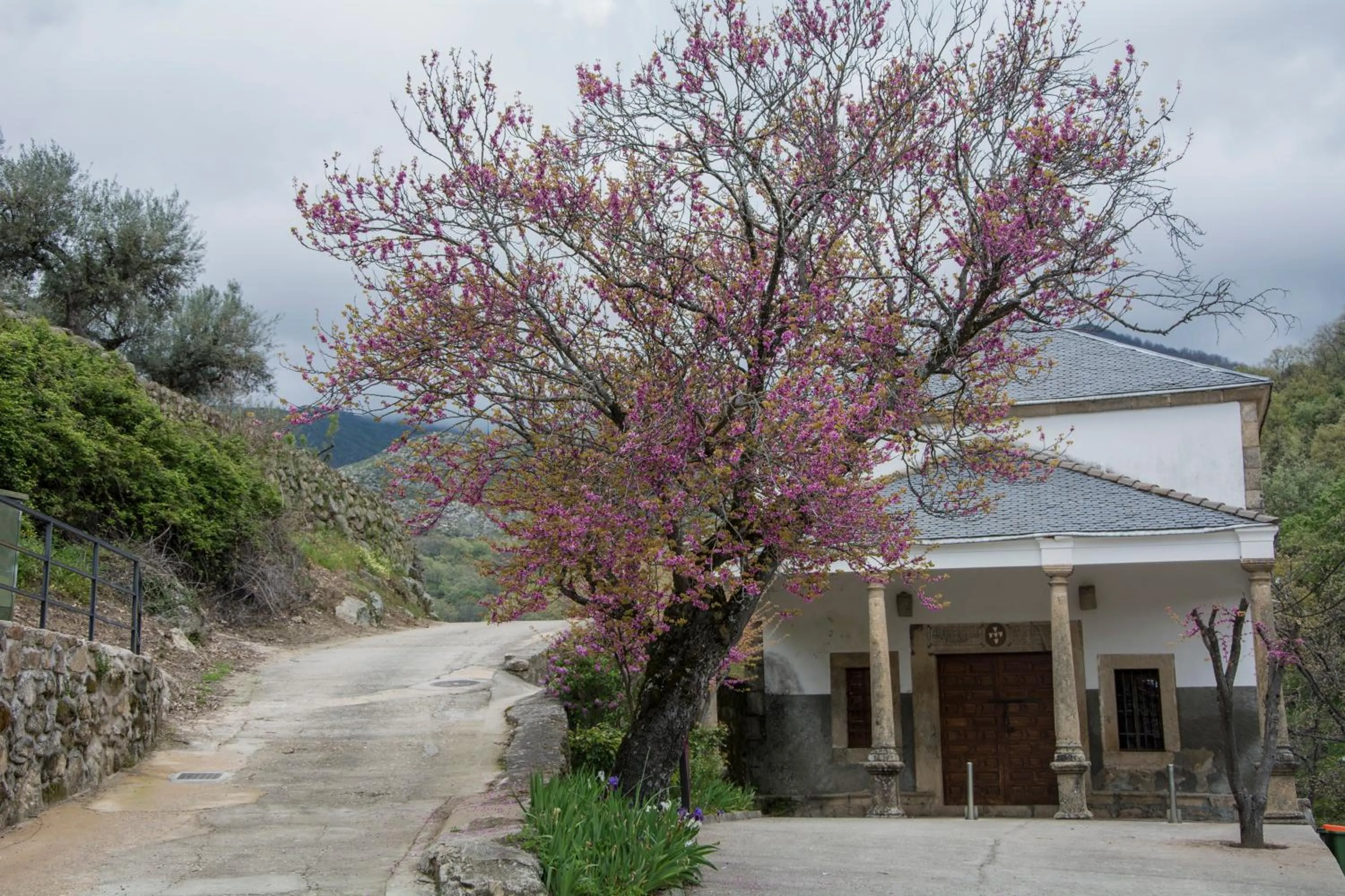 Casa Rural Fuente El Boticario