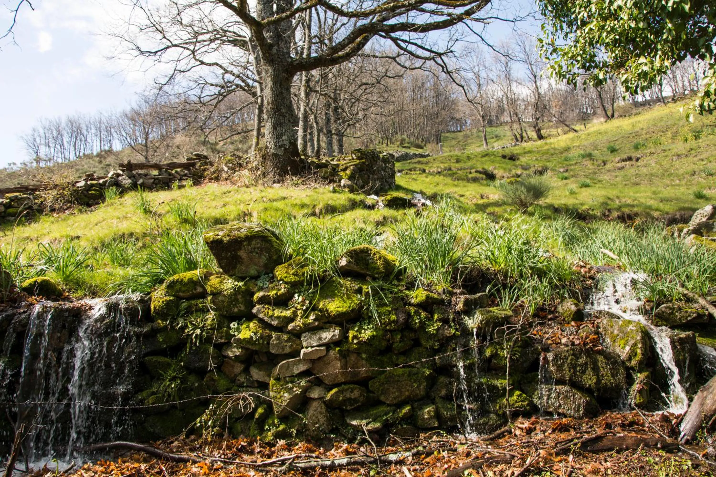 Other in Casa Rural Fuente El Boticario