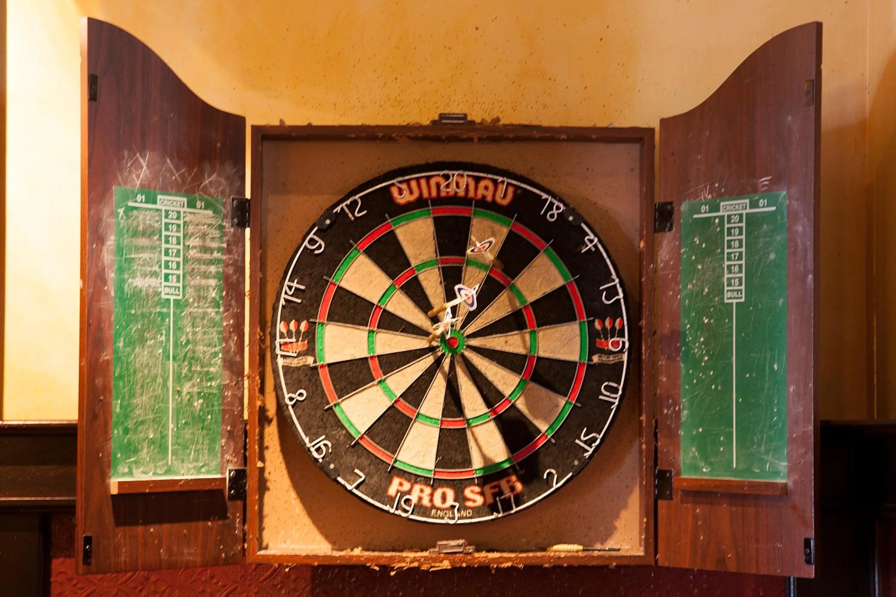 Darts in Fletcher Hotel Restaurant Veldenbos