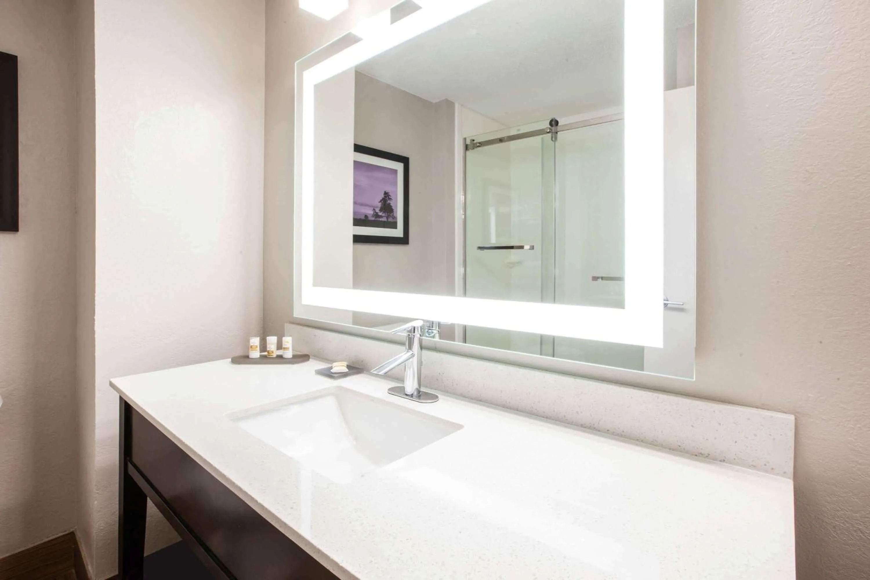 Bathroom in La Quinta Inn and Suites by Wyndham Elkhart