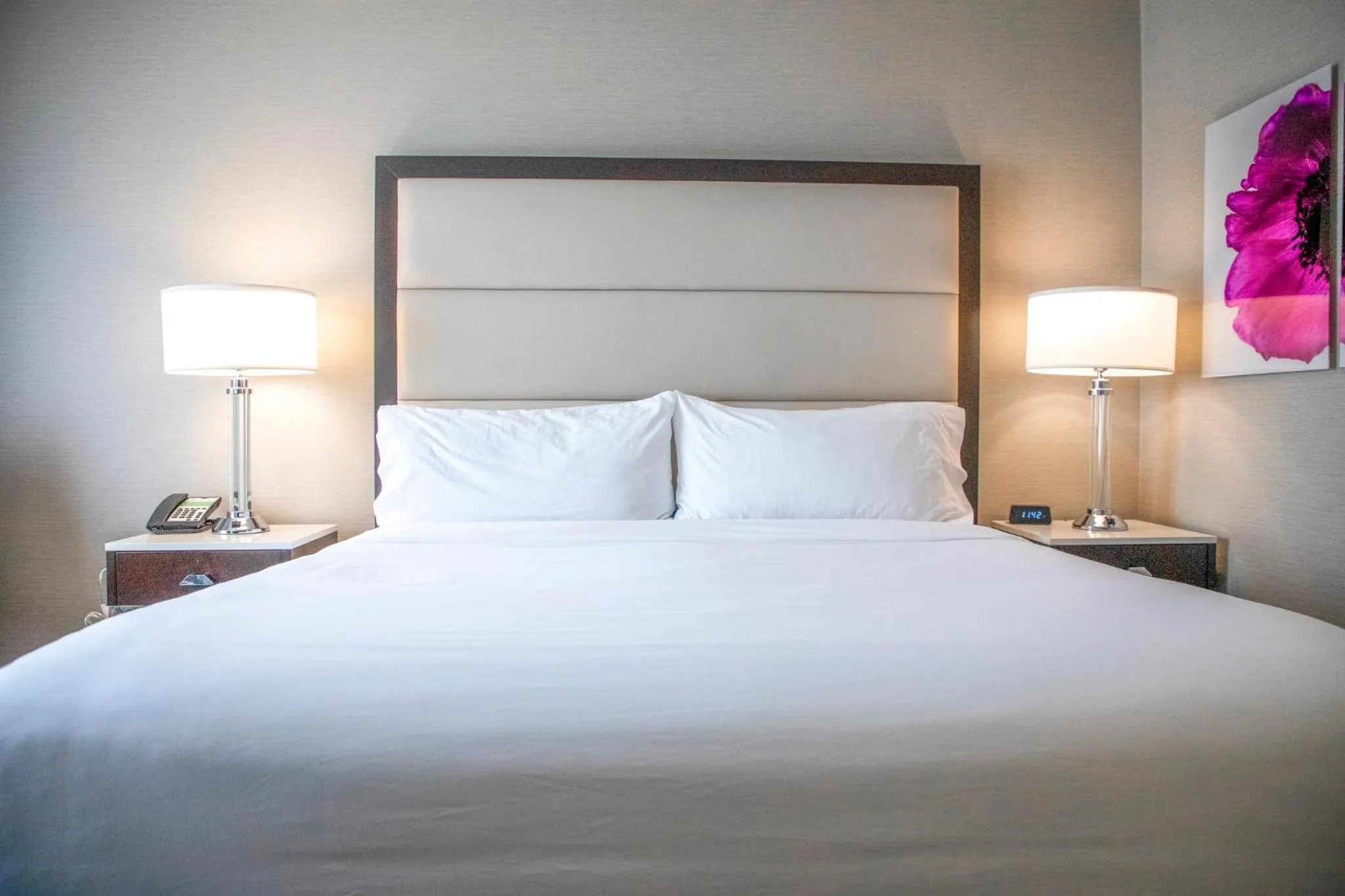 Photo of the whole room, Bed in Holiday Inn Wilmington by IHG
