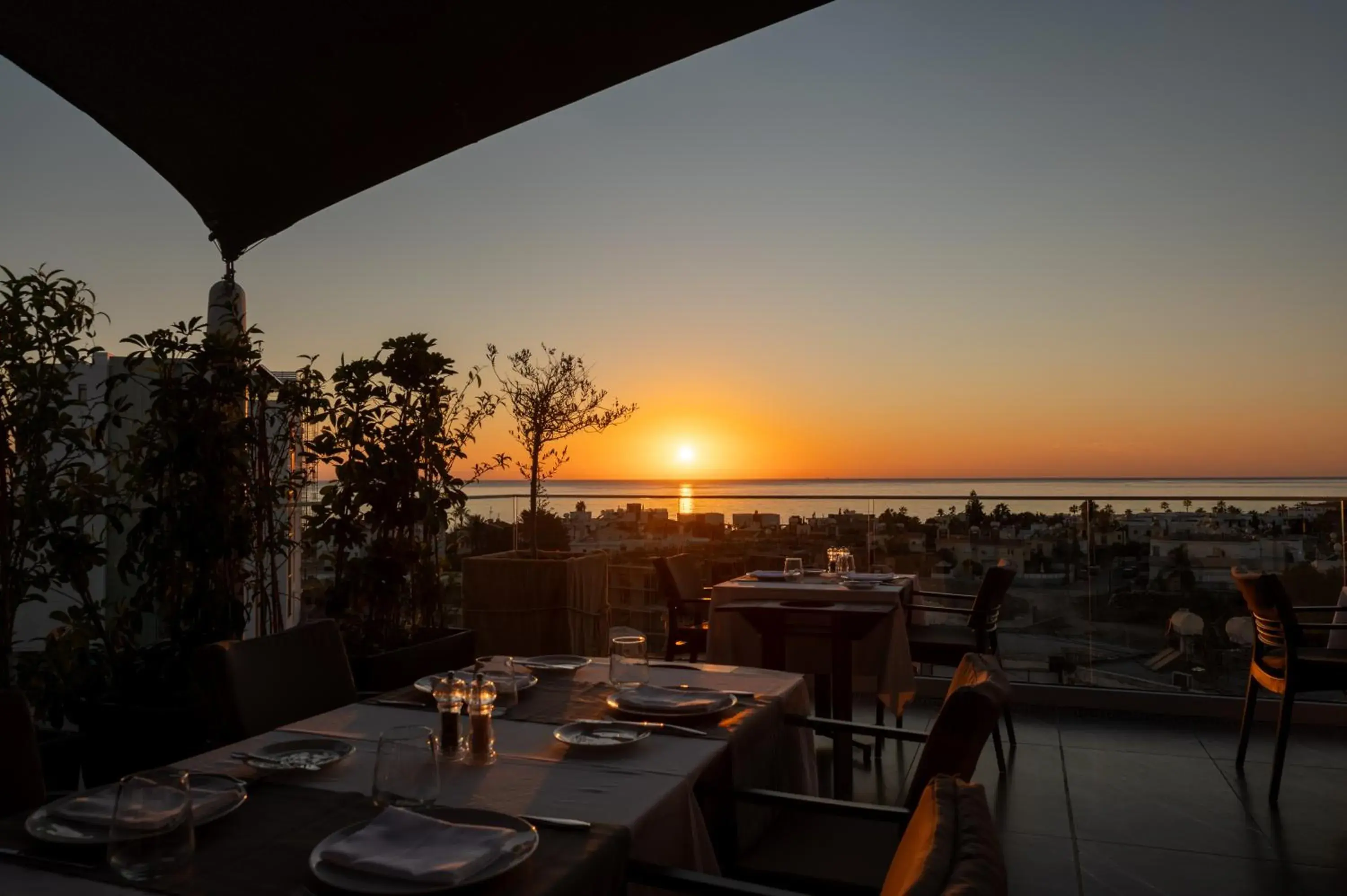 Restaurant/places to eat in Kefalos Damon Hotel Apartments Restaurant/places to eat in Kefalos Damon Hotel Apartments