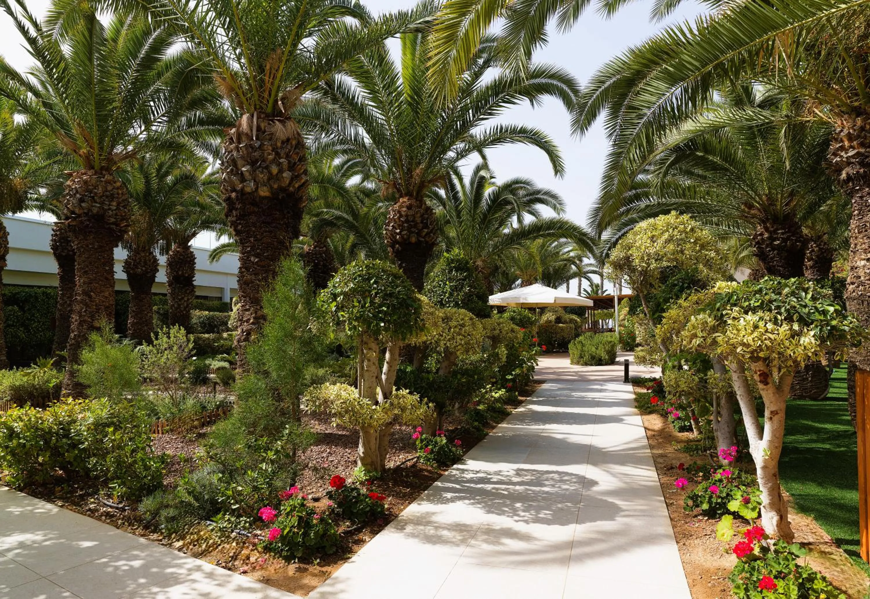 Natural landscape in The GrandResort - Limited Edition by Leonardo Hotels