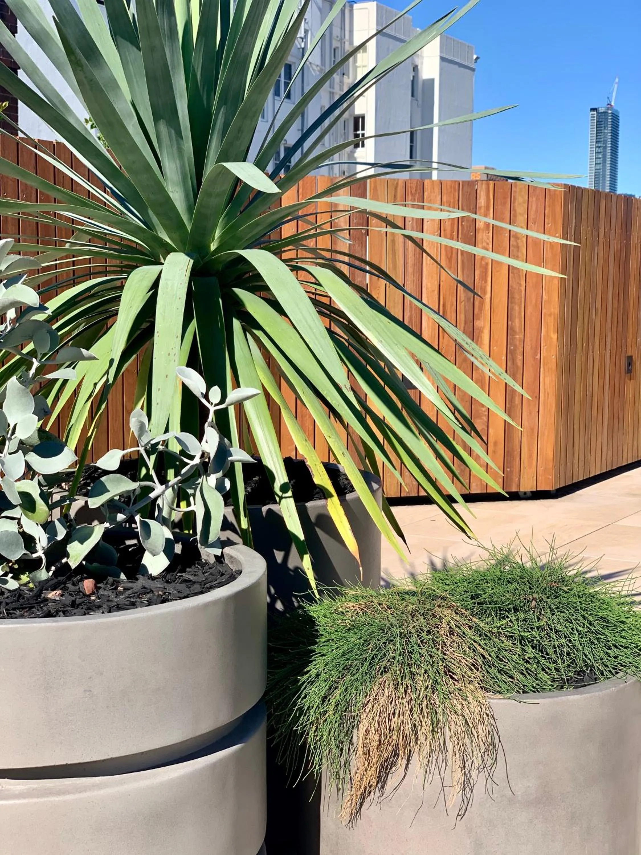 Patio in Regents Court Sydney