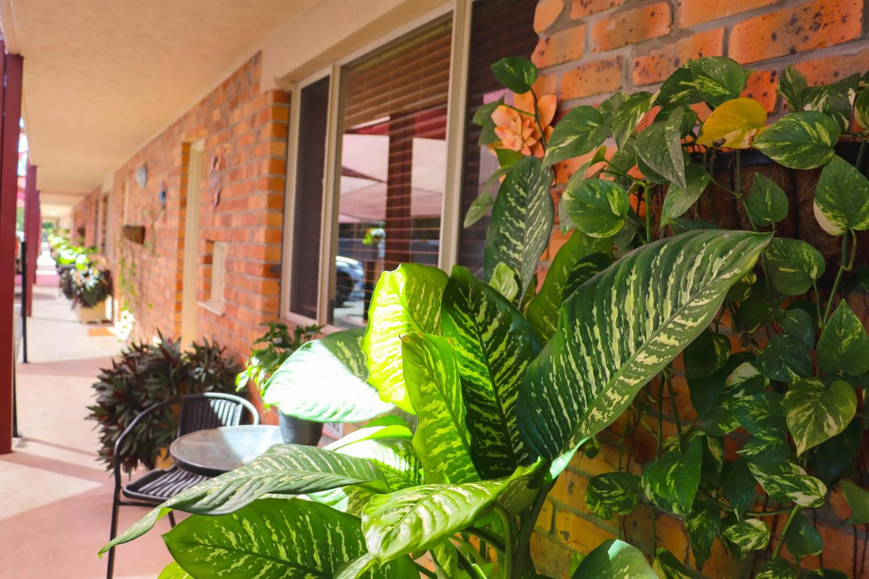 Kennedy Drive Boutique Motel - Close To City Centre & Airport