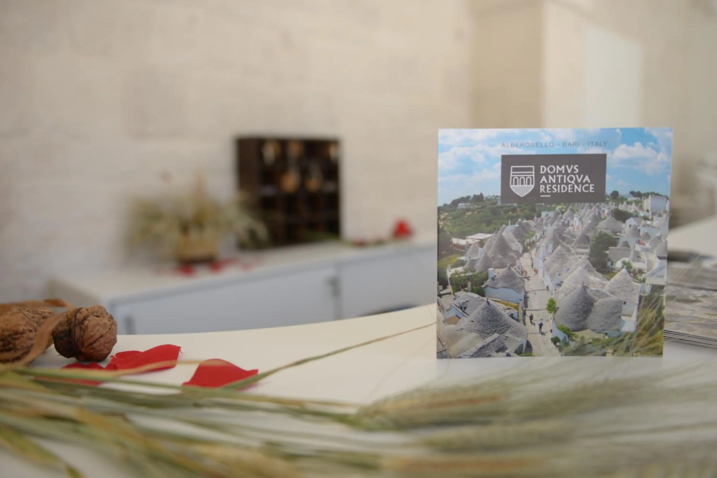 Lobby or reception in Domus Antiqua Residence