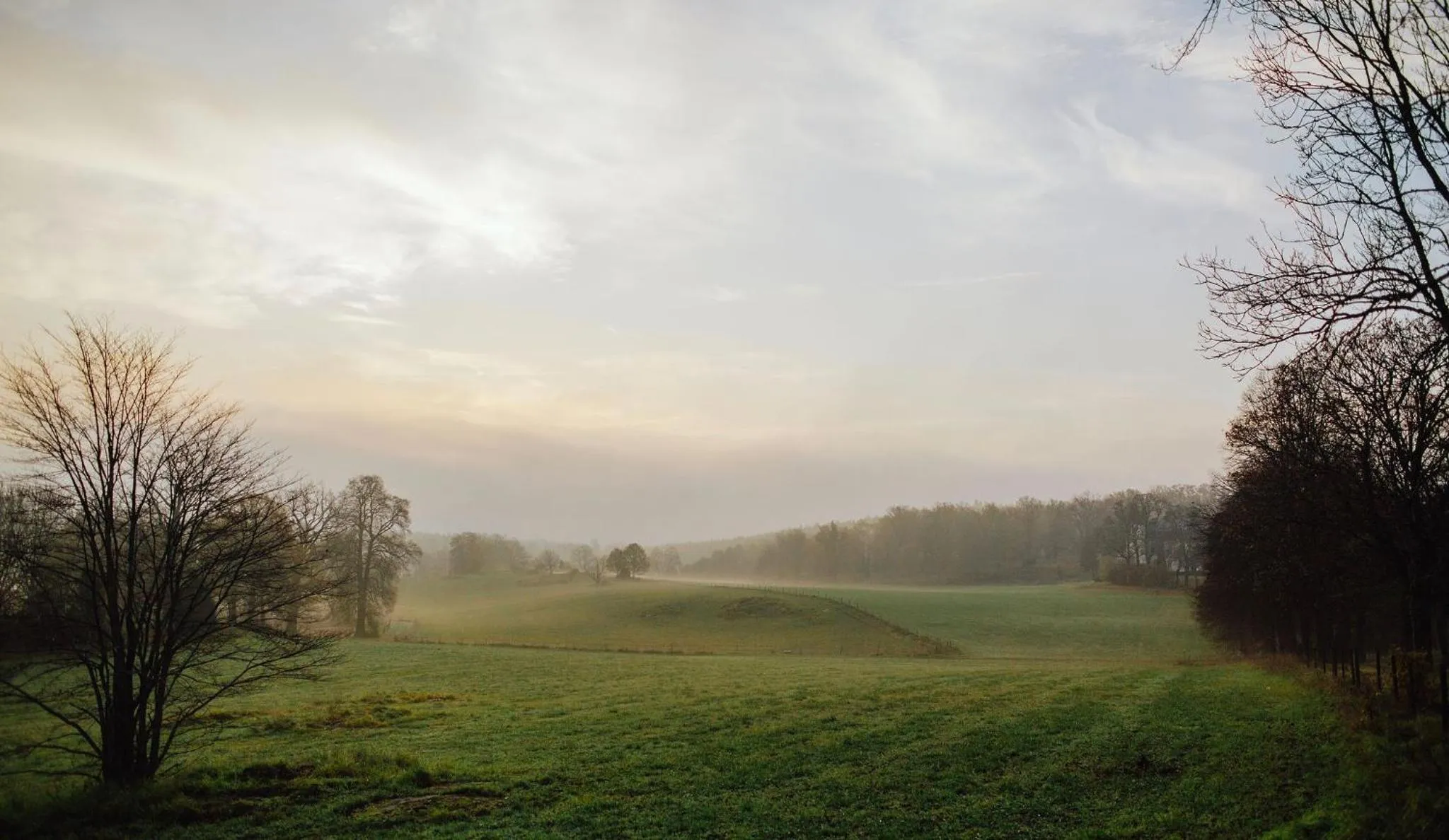 Natural landscape in Wallby Säteri