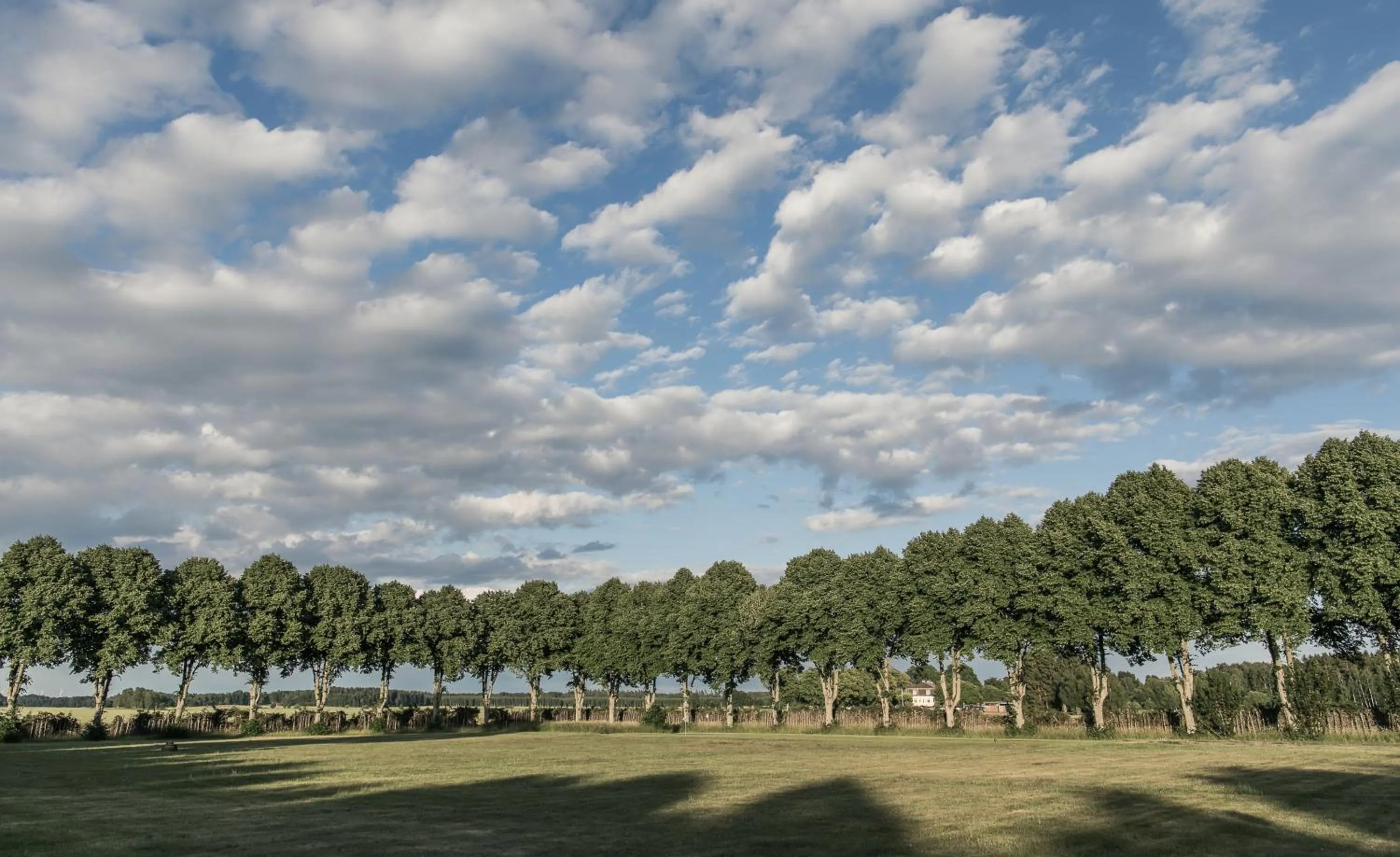 Natural landscape in Bjertorp Slott