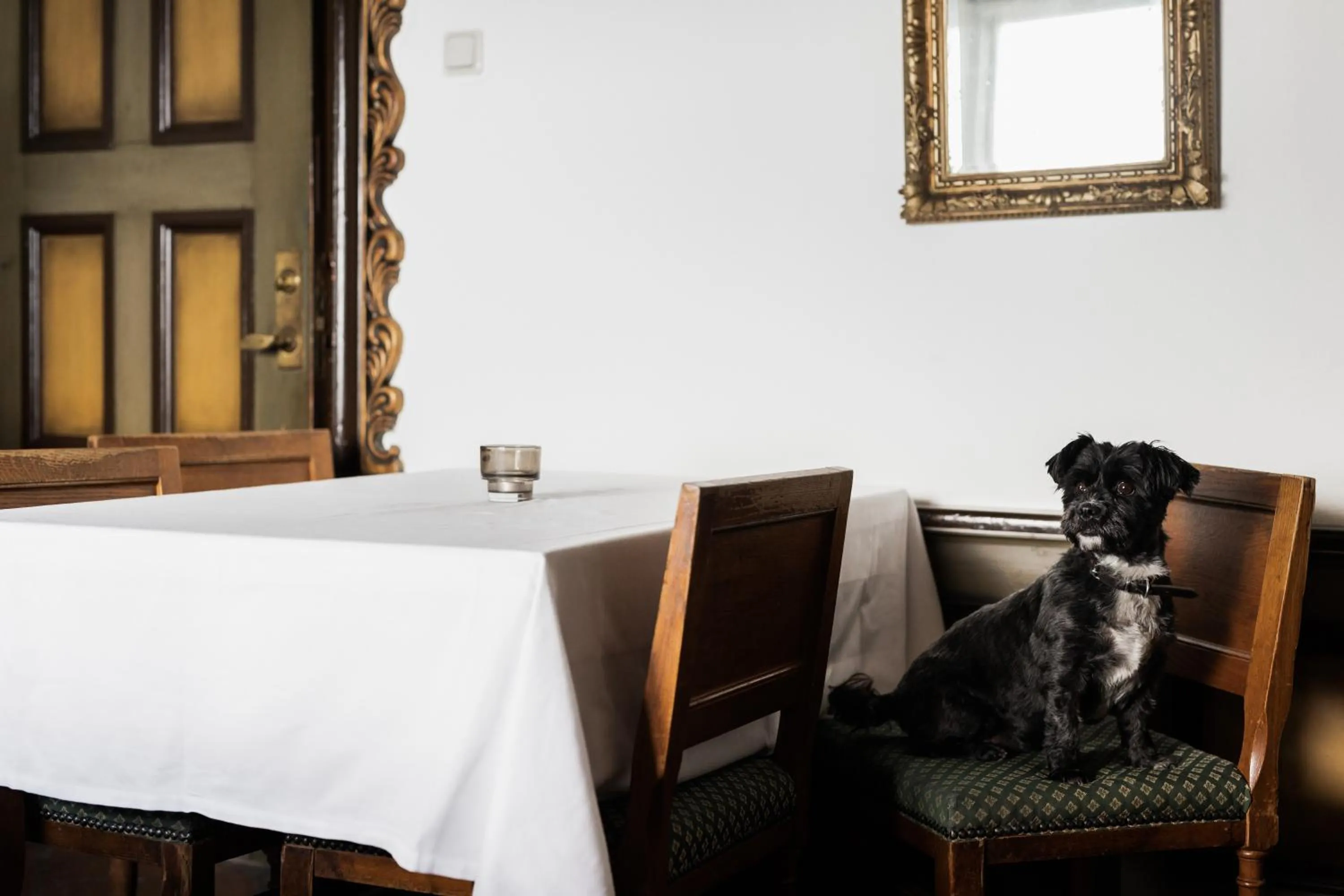 Restaurant/places to eat in Hotel Gyllene Uttern