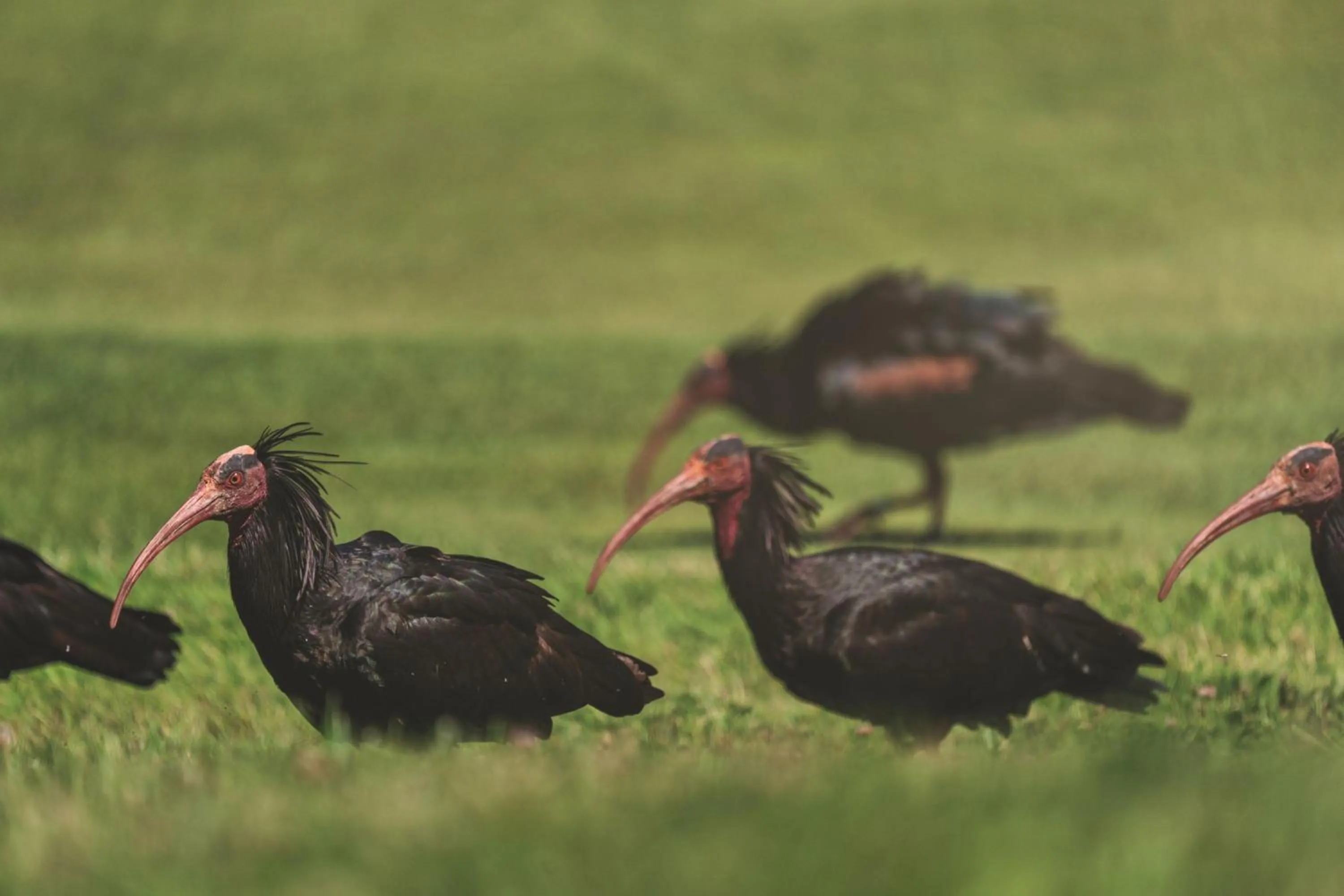 Other in Argentario Golf & Wellness Resort, Autograph Collection