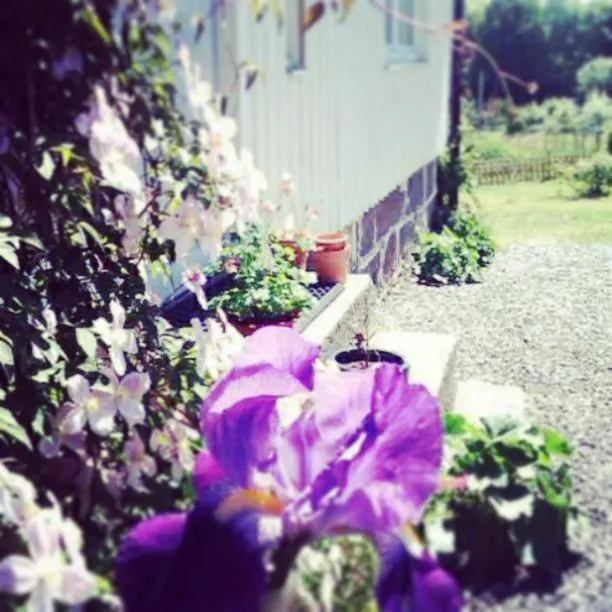 Garden view in Elisetorp