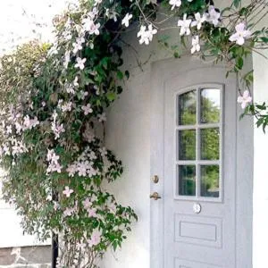 Other in Elisetorp