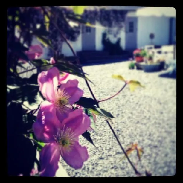 Garden in Elisetorp