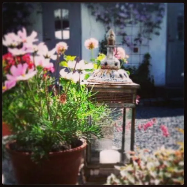 Garden in Elisetorp