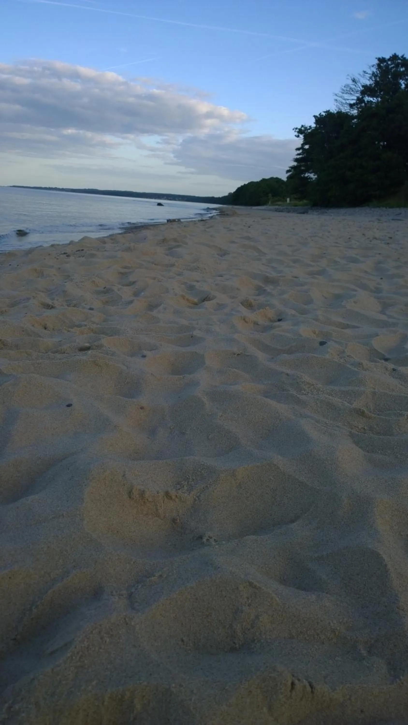Beach in Elisetorp