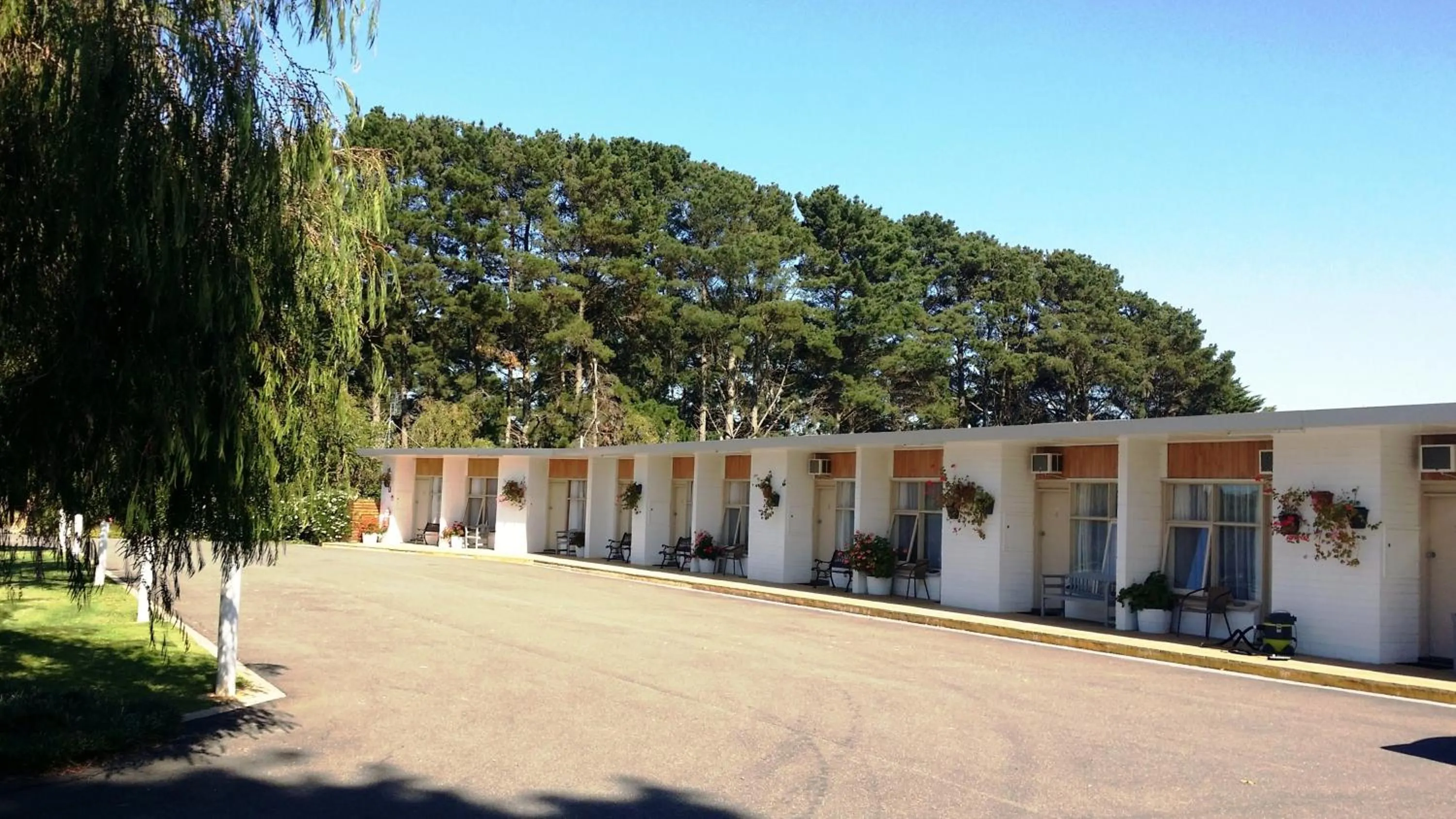 Spring in The Terang Motor Inn