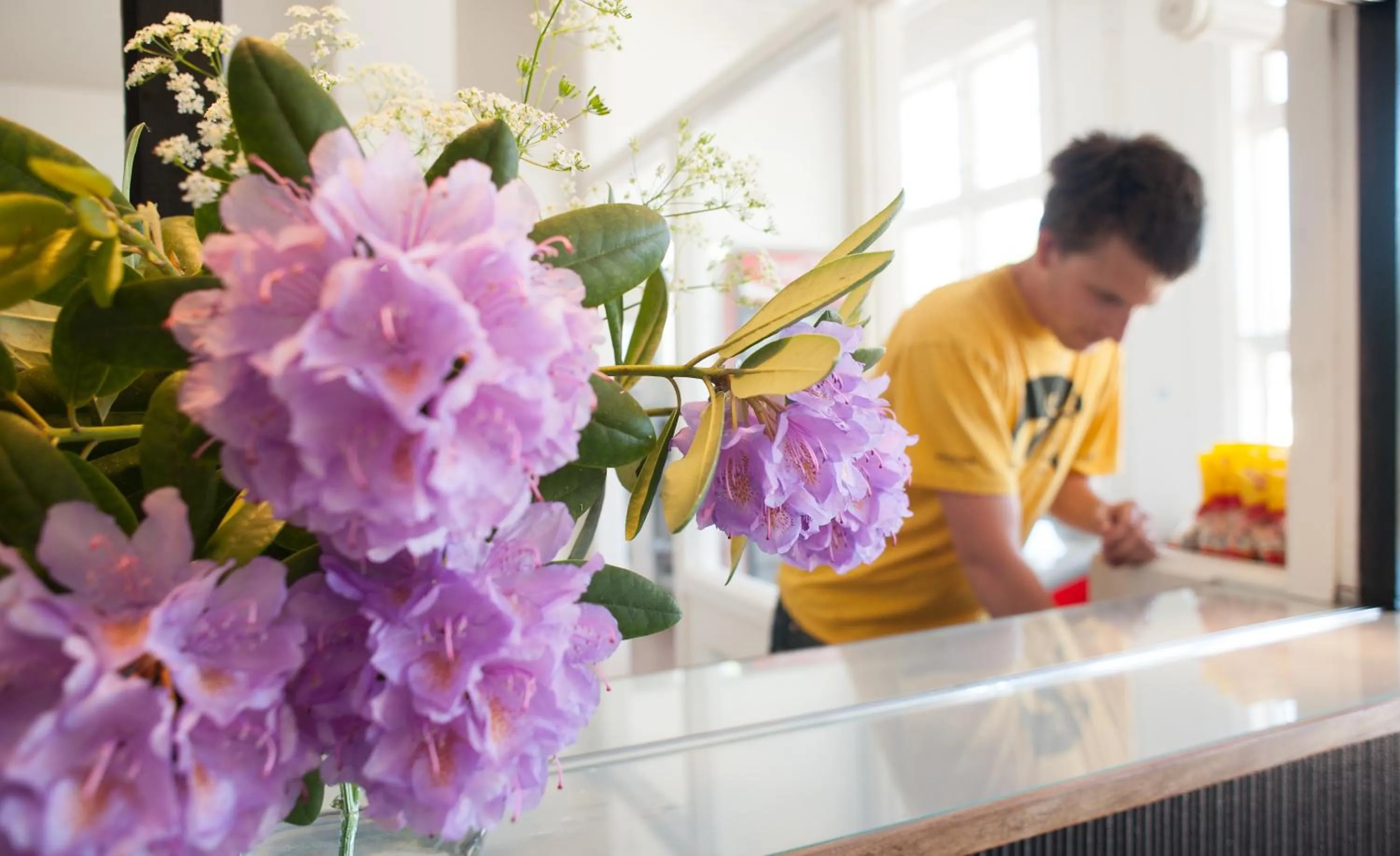 Staff in Ronneby Brunnspark Vandrarhem och B&B