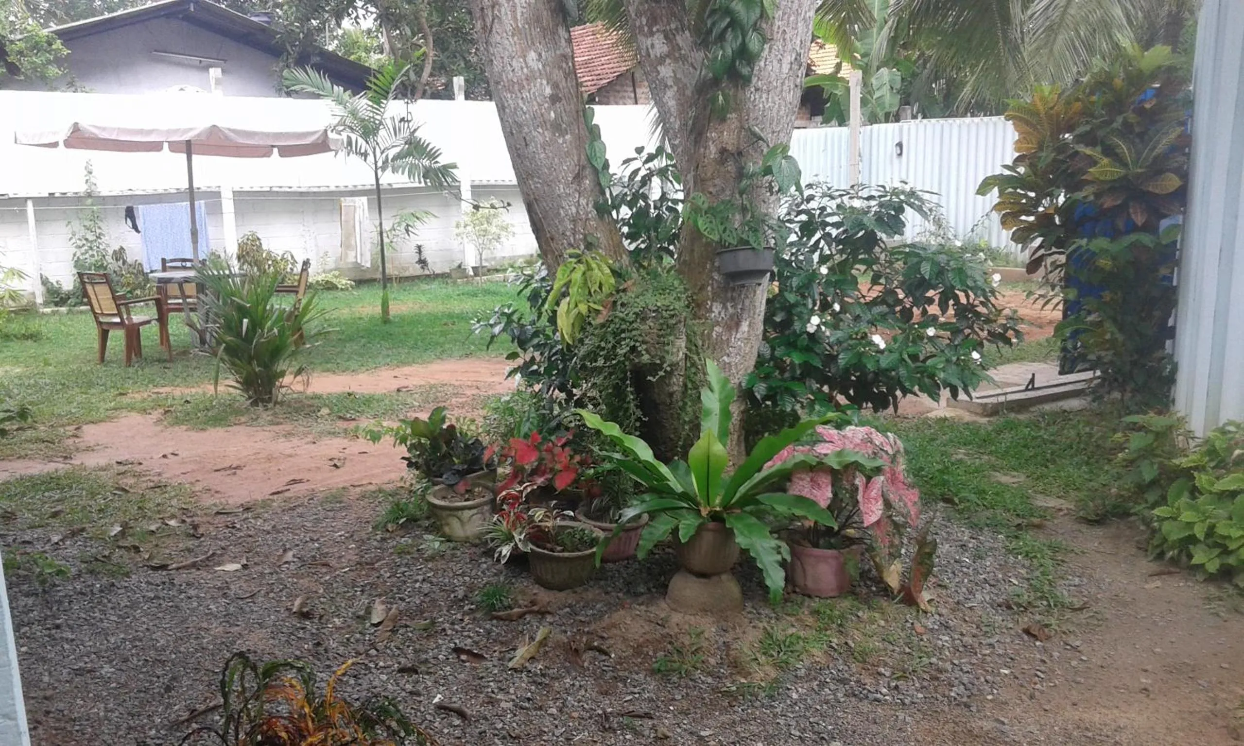 View (from property/room) in Erandi Holiday Home