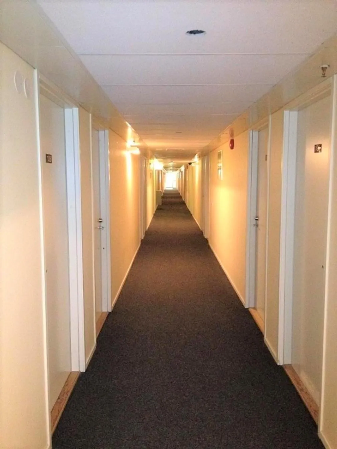 Area and facilities in Hotell Dialog