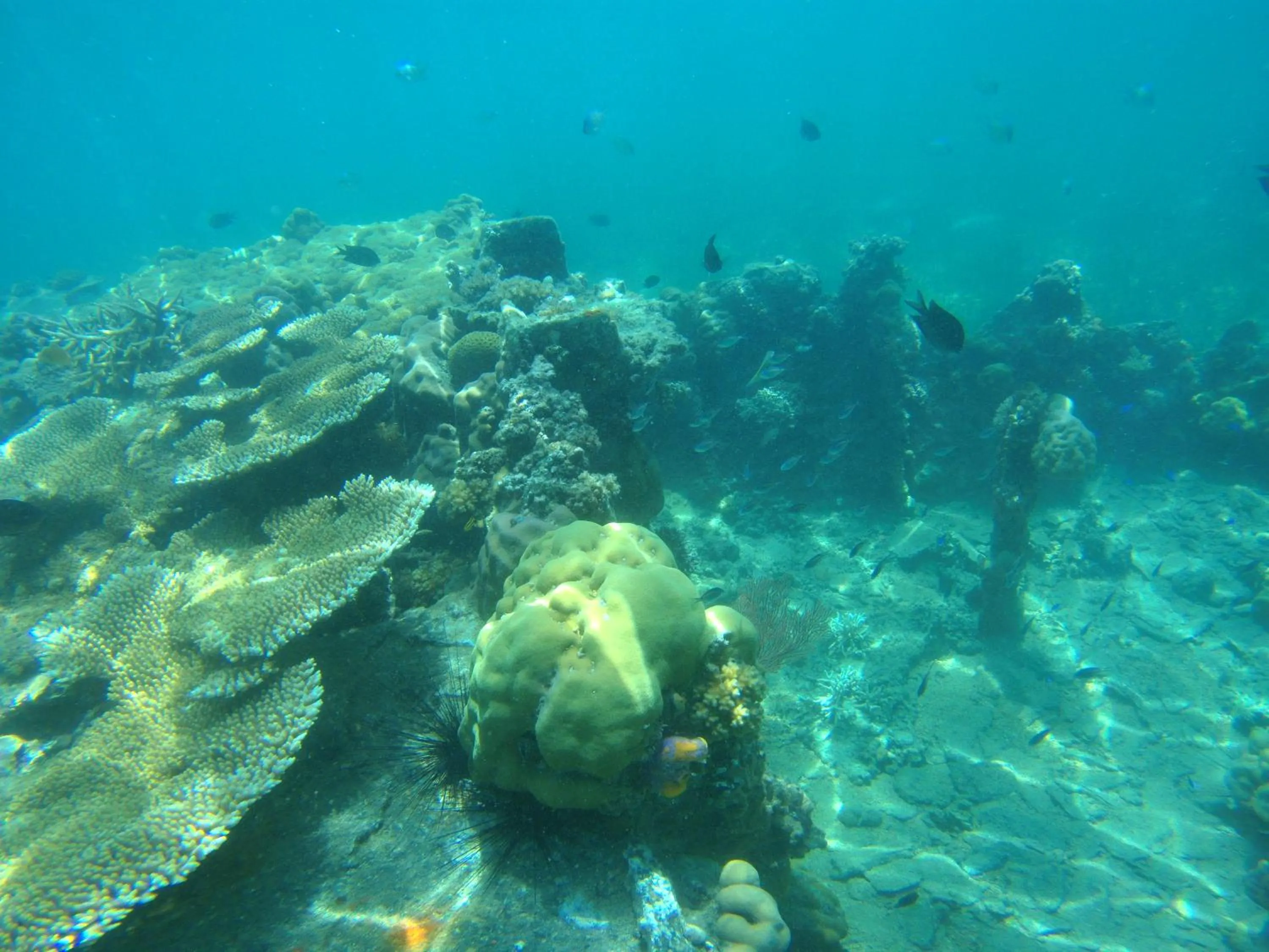 Playa Encantada Beach Resort