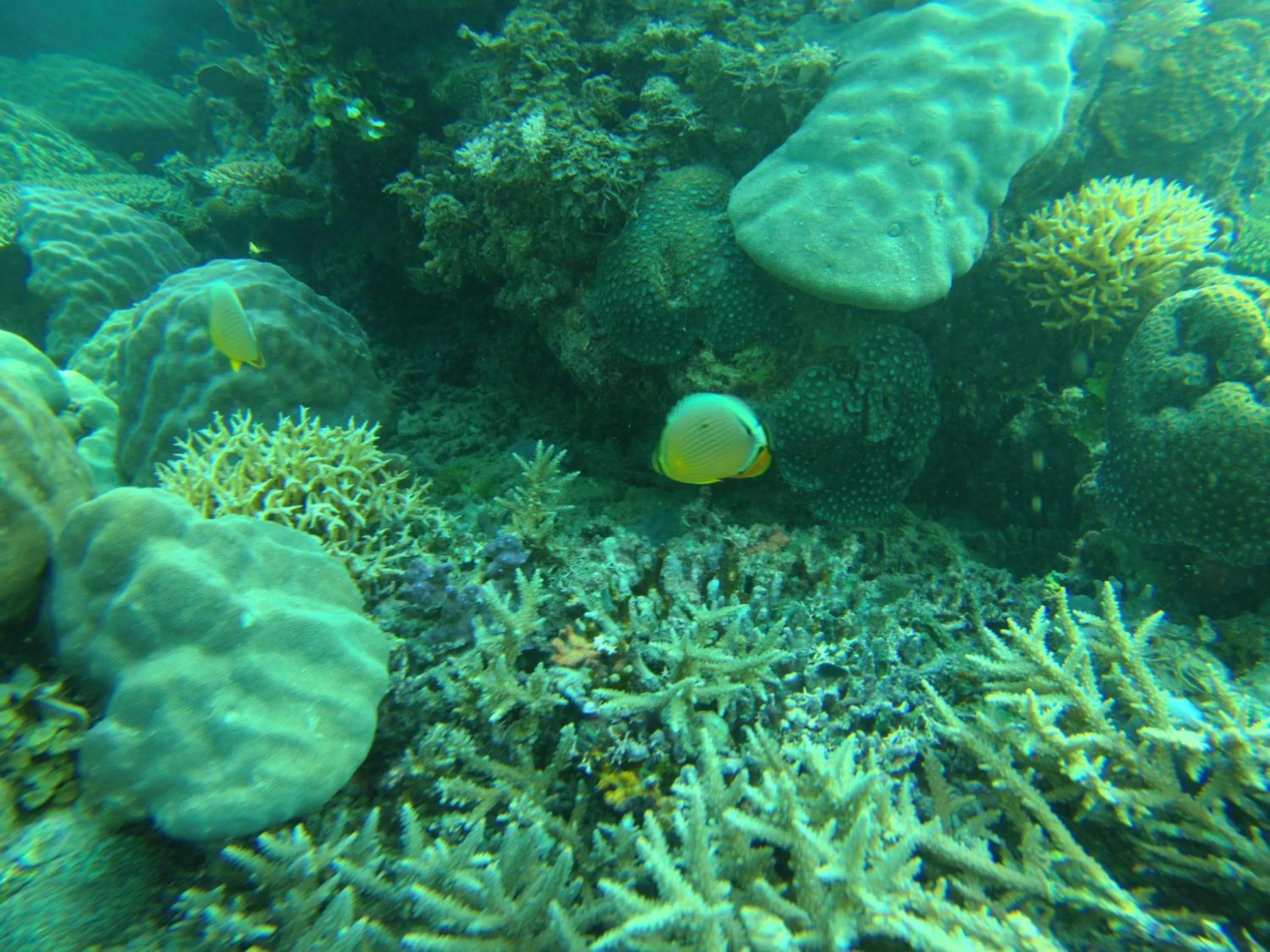 Playa Encantada Beach Resort