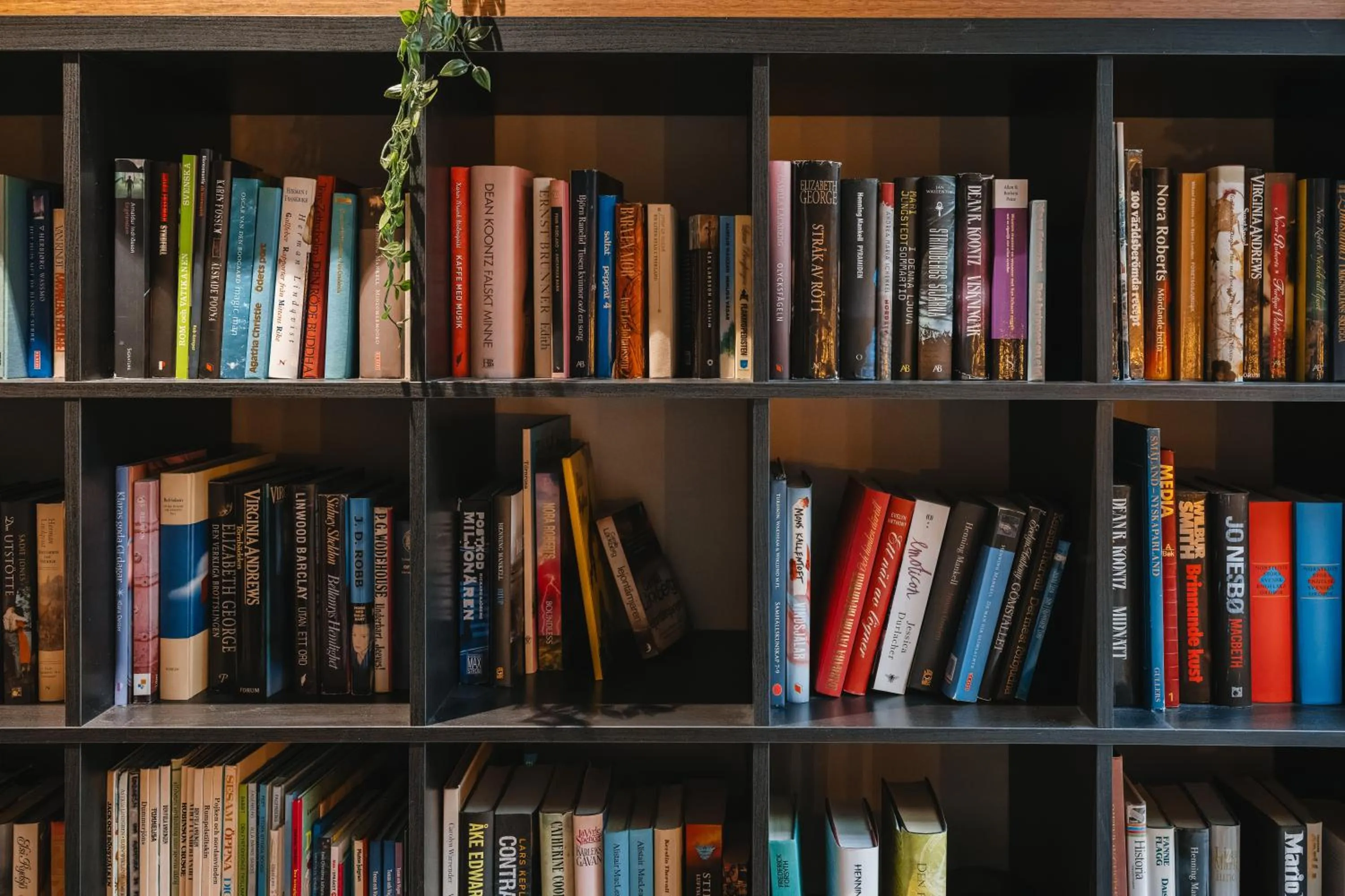 Dream - Luxury Hostel