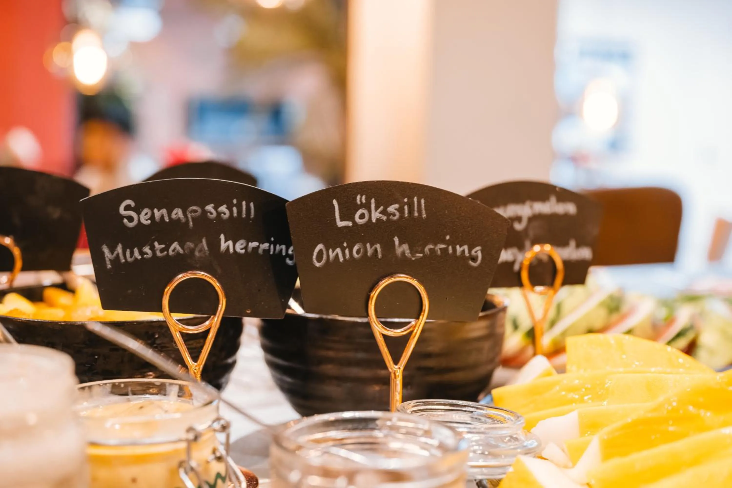 Dream - Luxury Hostel