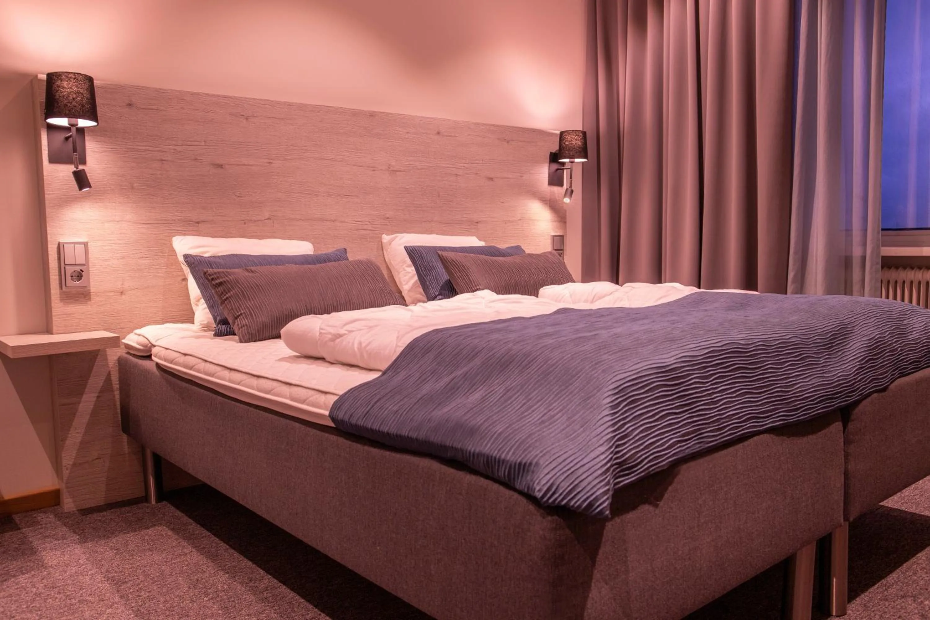 Photo of the whole room, Bed in Dream - Luxury Hostel