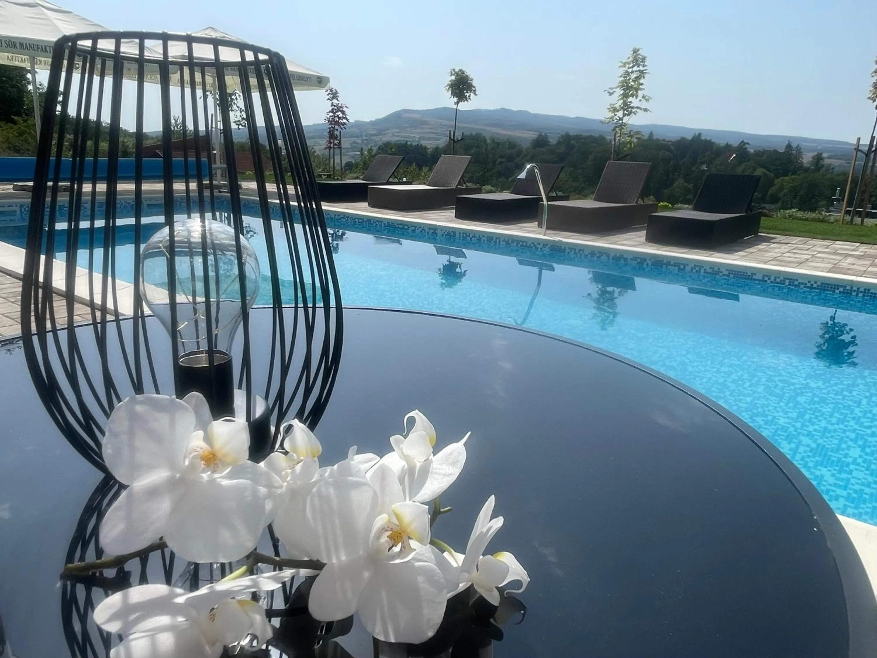 Swimming pool in Hotel Relax Sovata